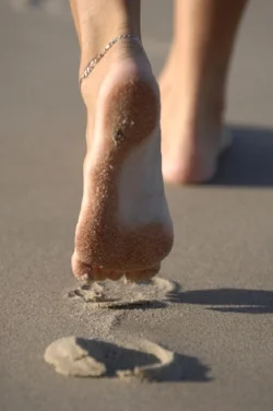 Feet-walking.jpg