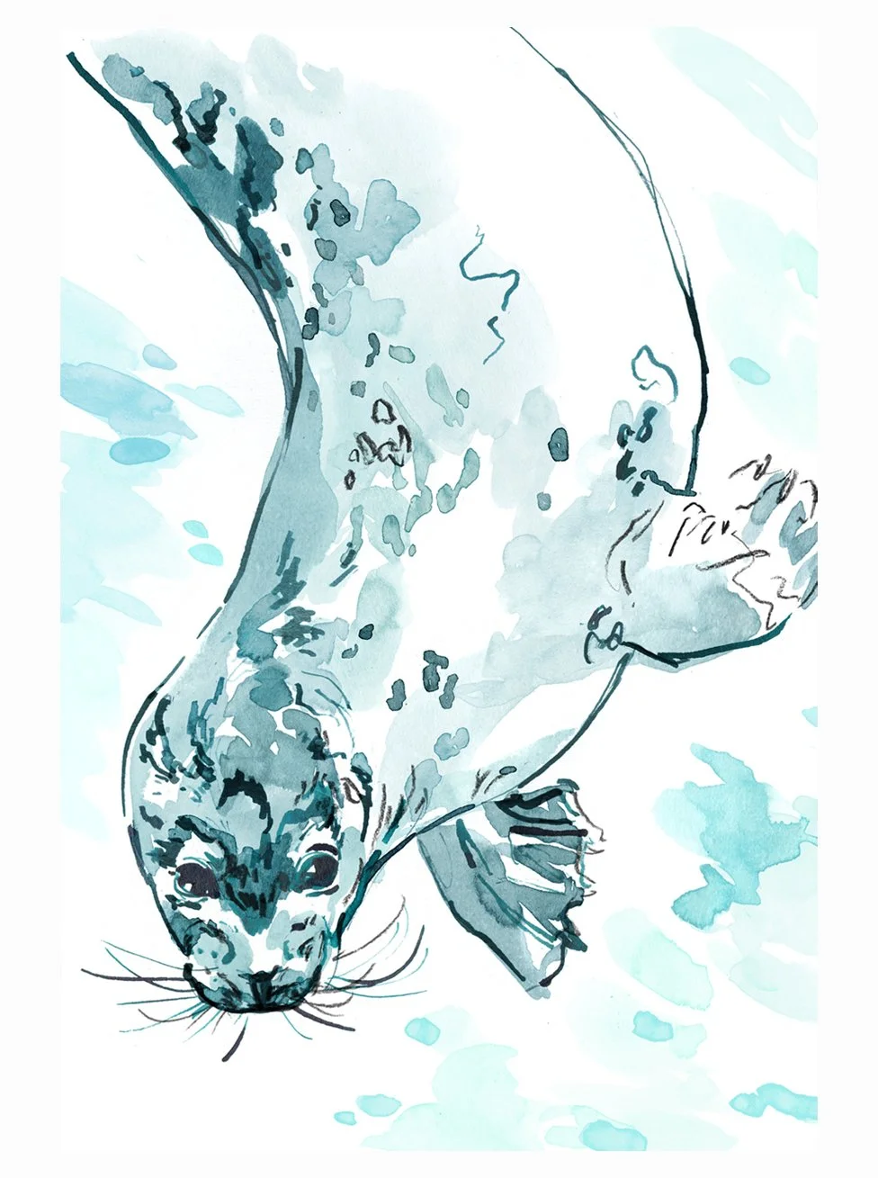 aquarium1.jpg