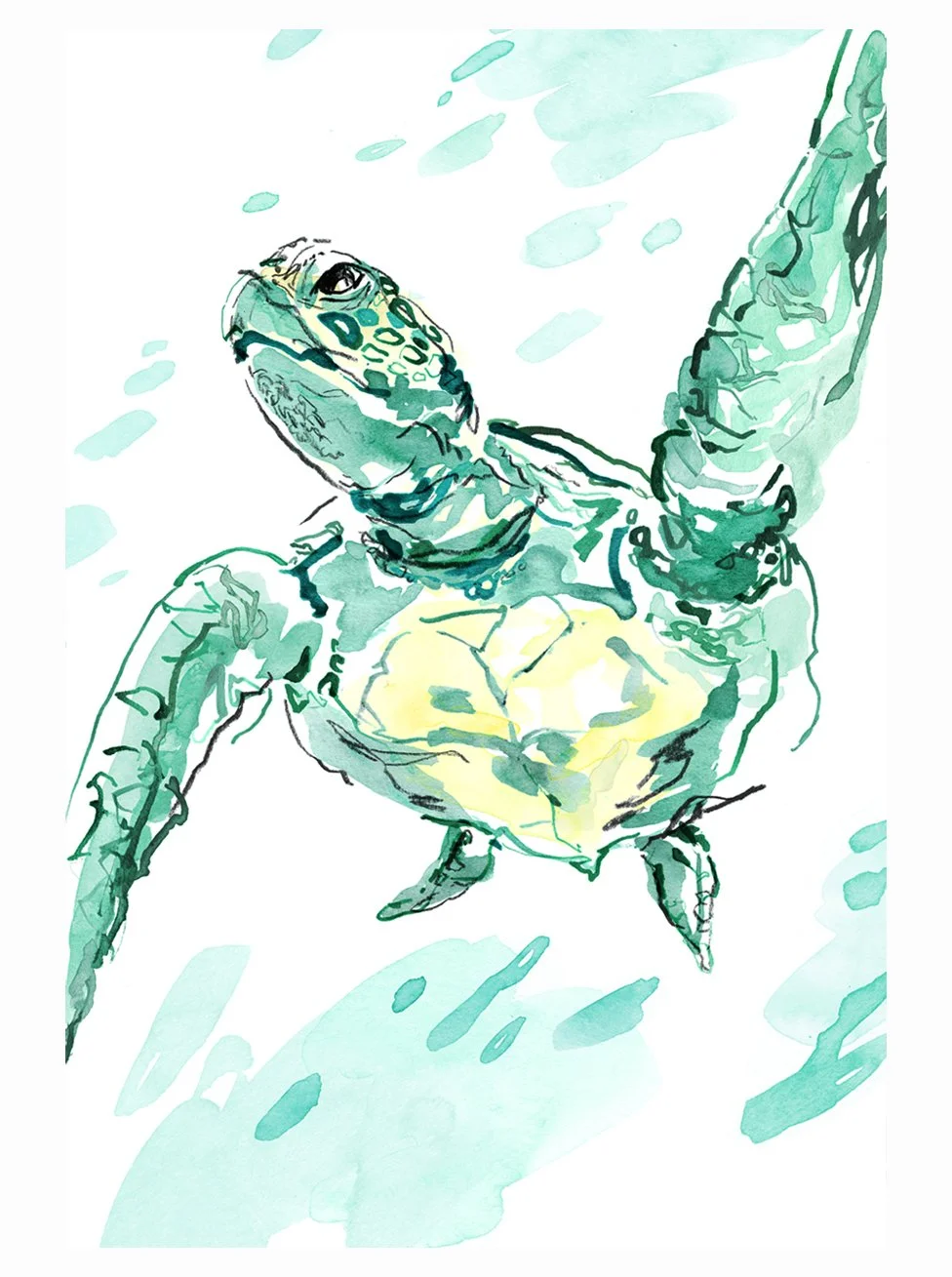 aquarium2.jpg