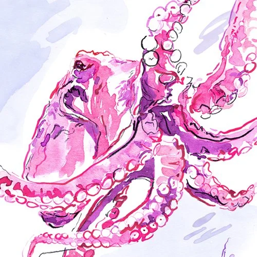 aquarium-header.jpg