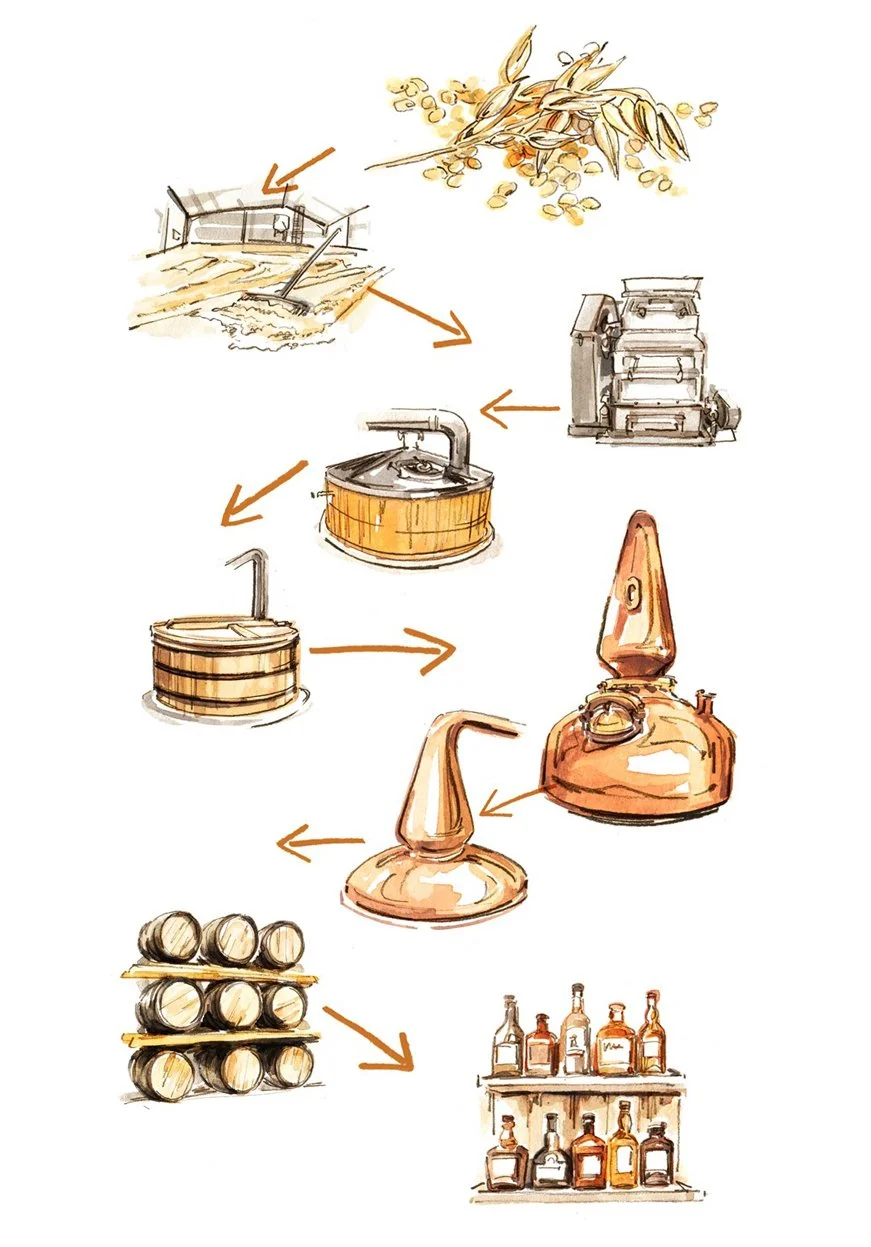 beer-filtration.jpg