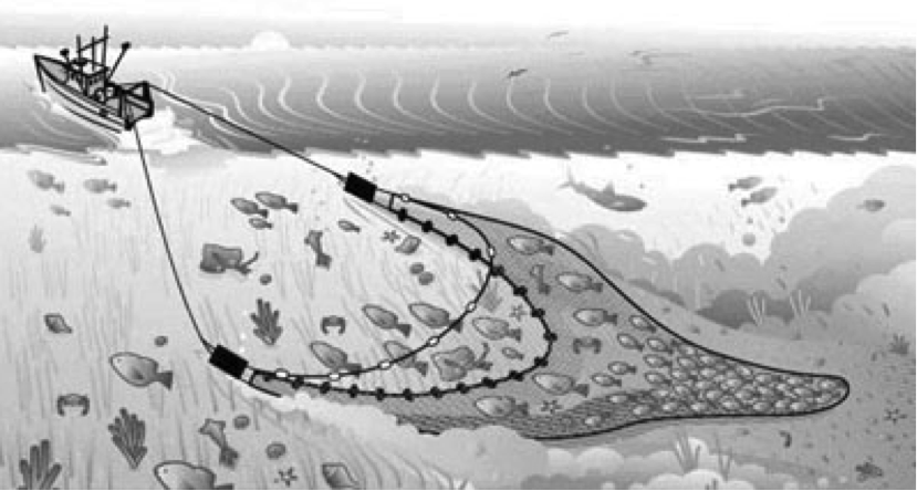 Bottom Trawler. Image copyright © Michael C. Barnette. Lost at Sea. 2004