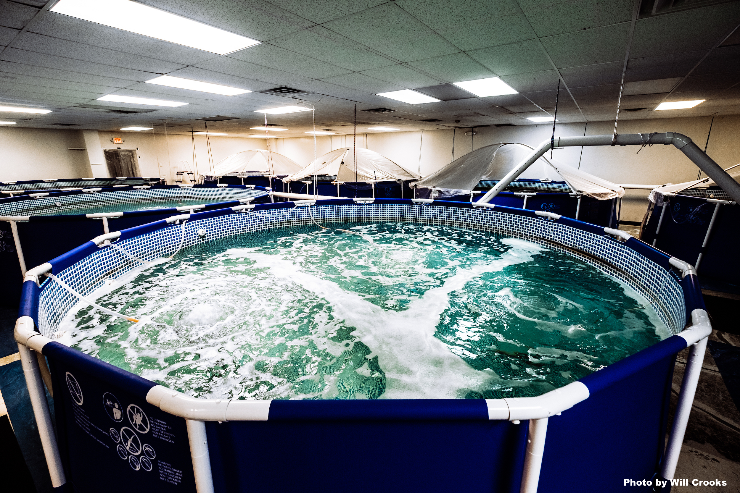 Urban Seas photo by Will Crooks.jpeg