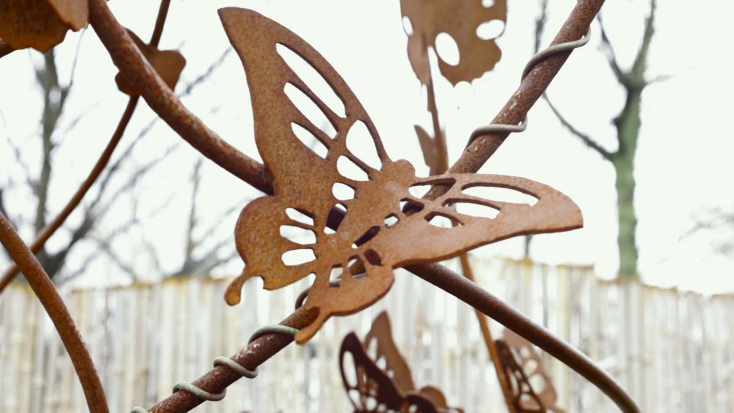 INTEGRO - One Day On Earth