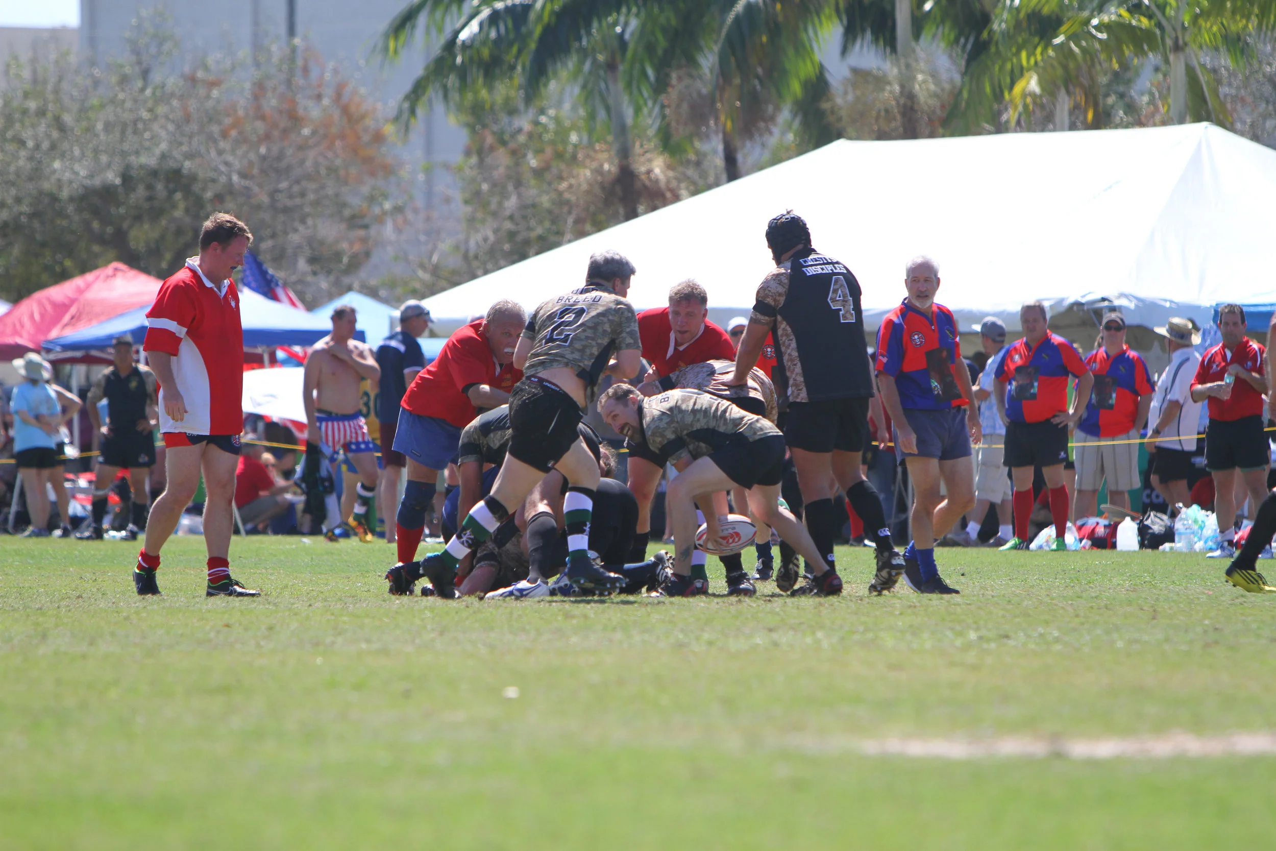 IMG_1076.jpg