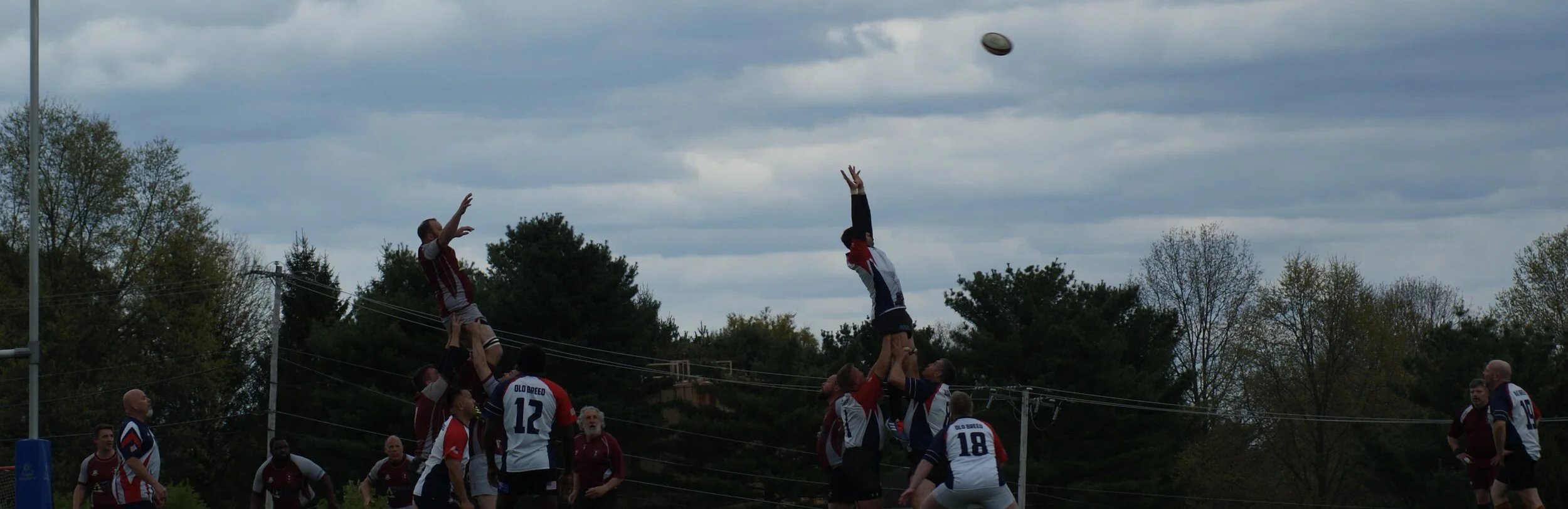 Lineout.JPG