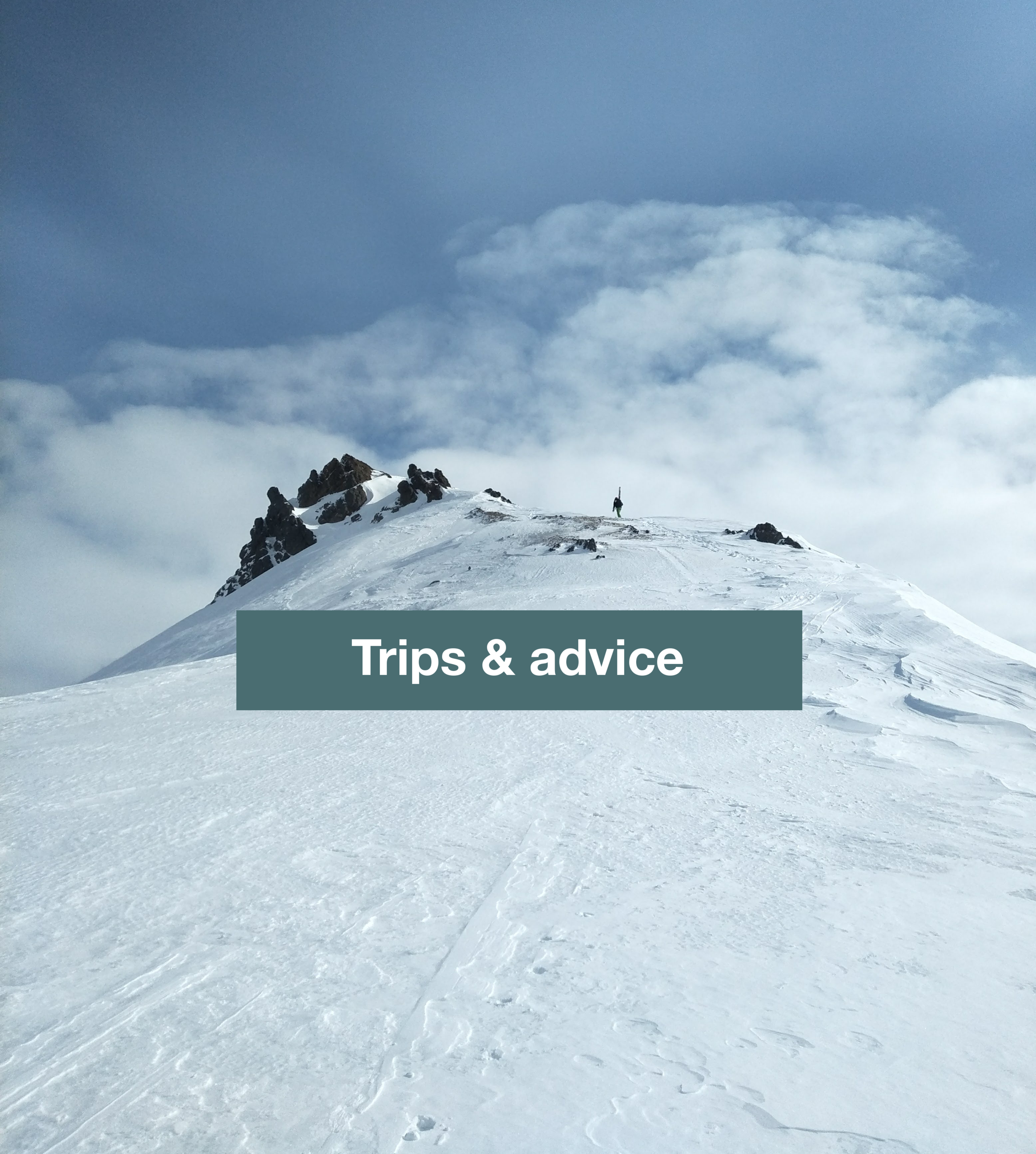 trips3.png