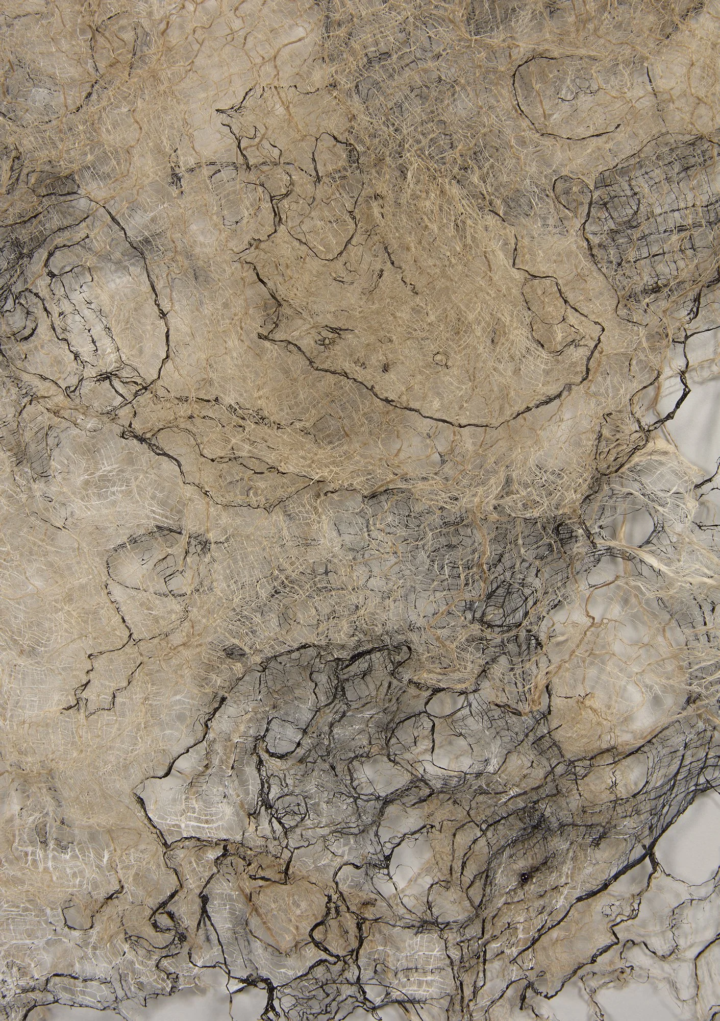 Like Minded (2) detail 