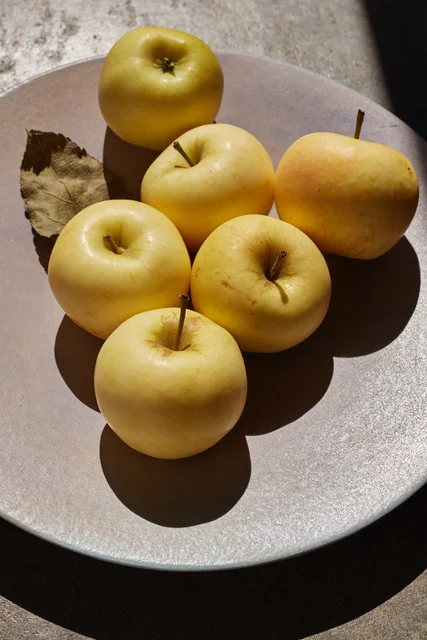 test_0821180770.jpeg