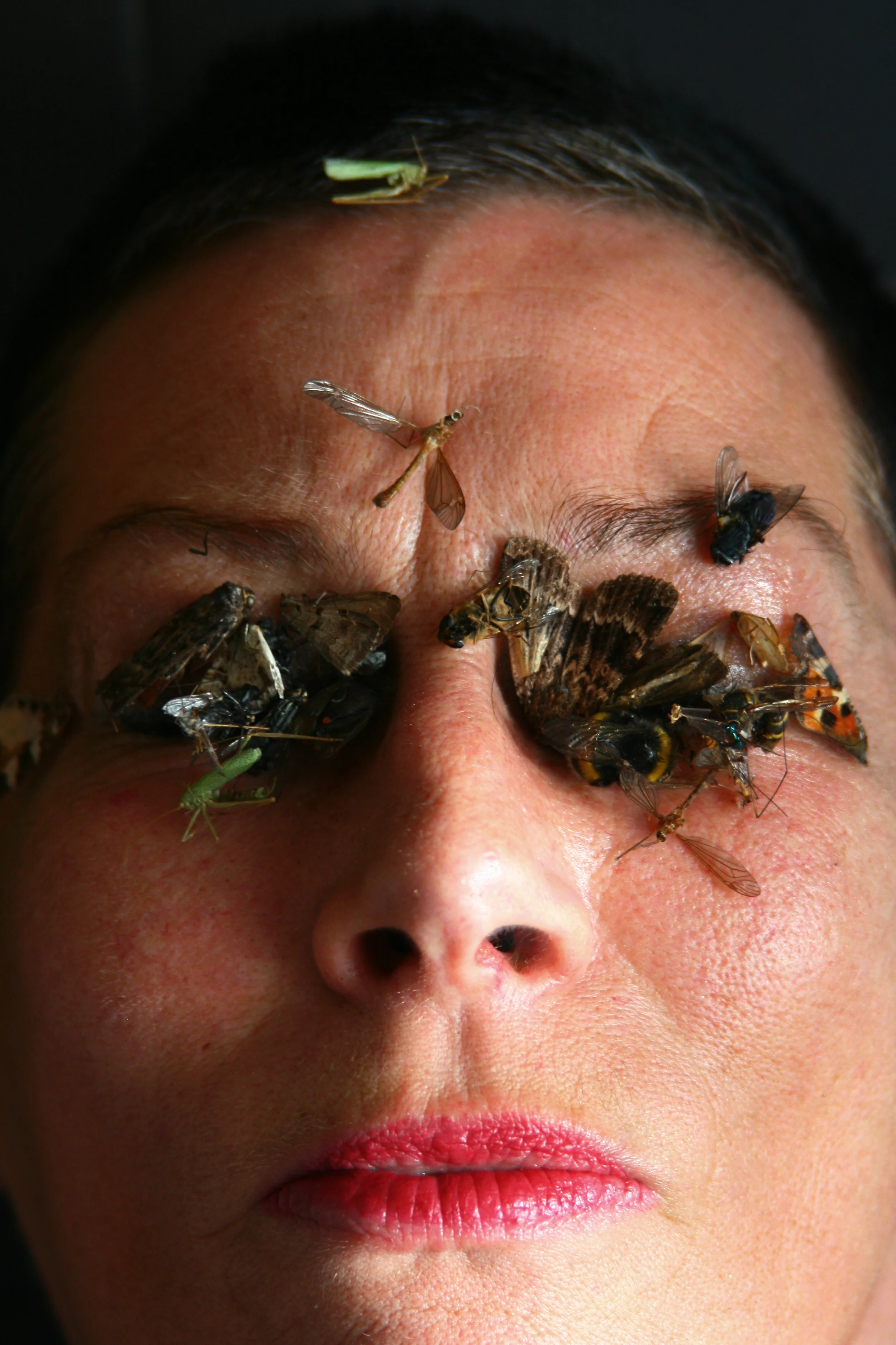 Octportrait13_1.jpg