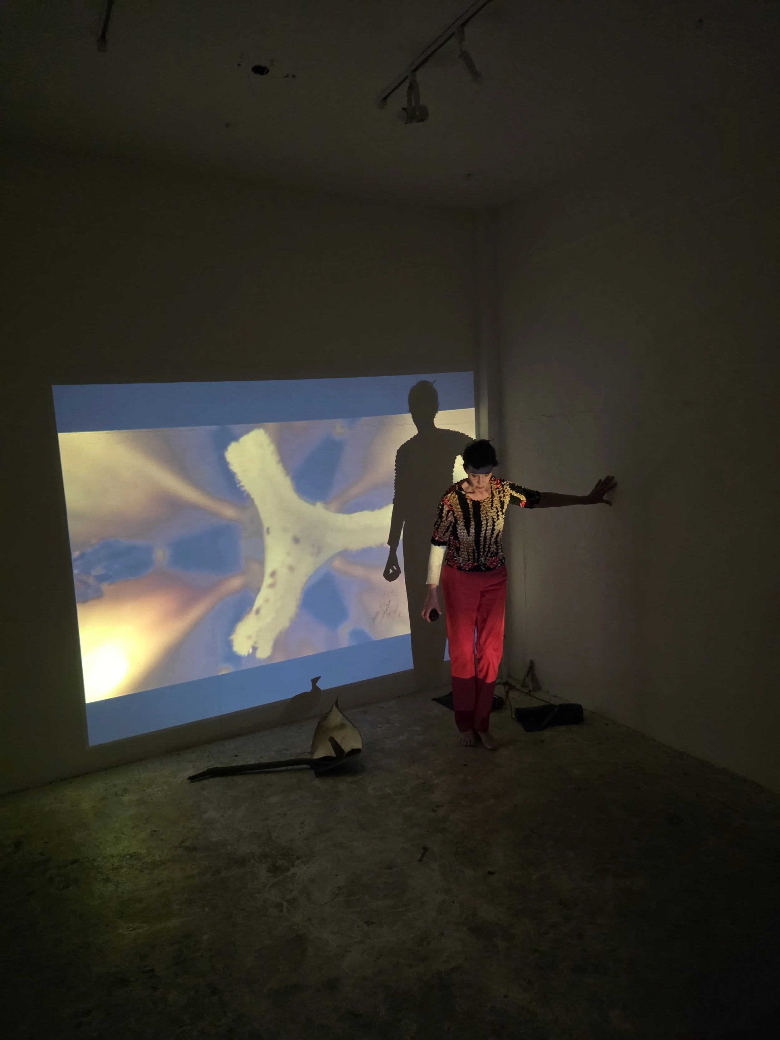 Live Performance and Projection - Dingblitze -Conceal Gallery, Tokyo