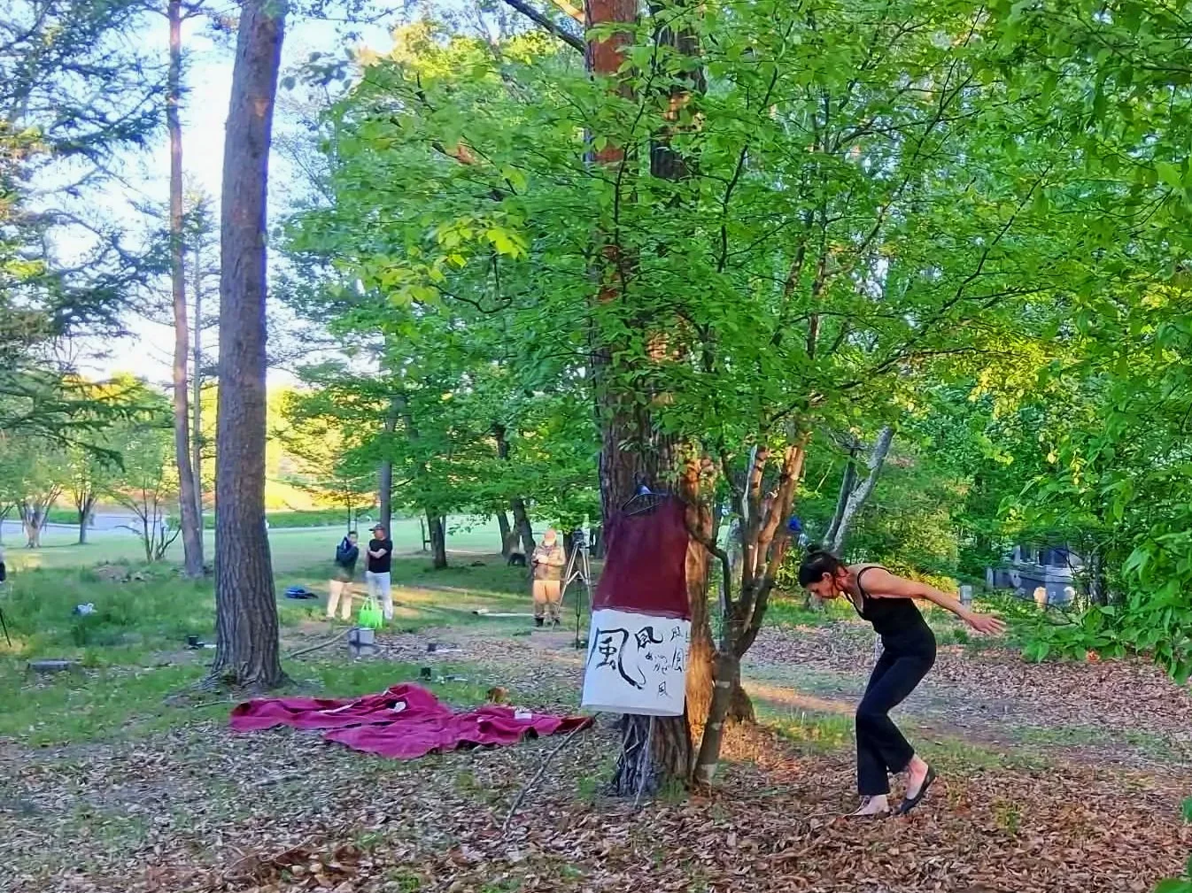 Live Performance, Nagano Art Park, Go Beyond Empty