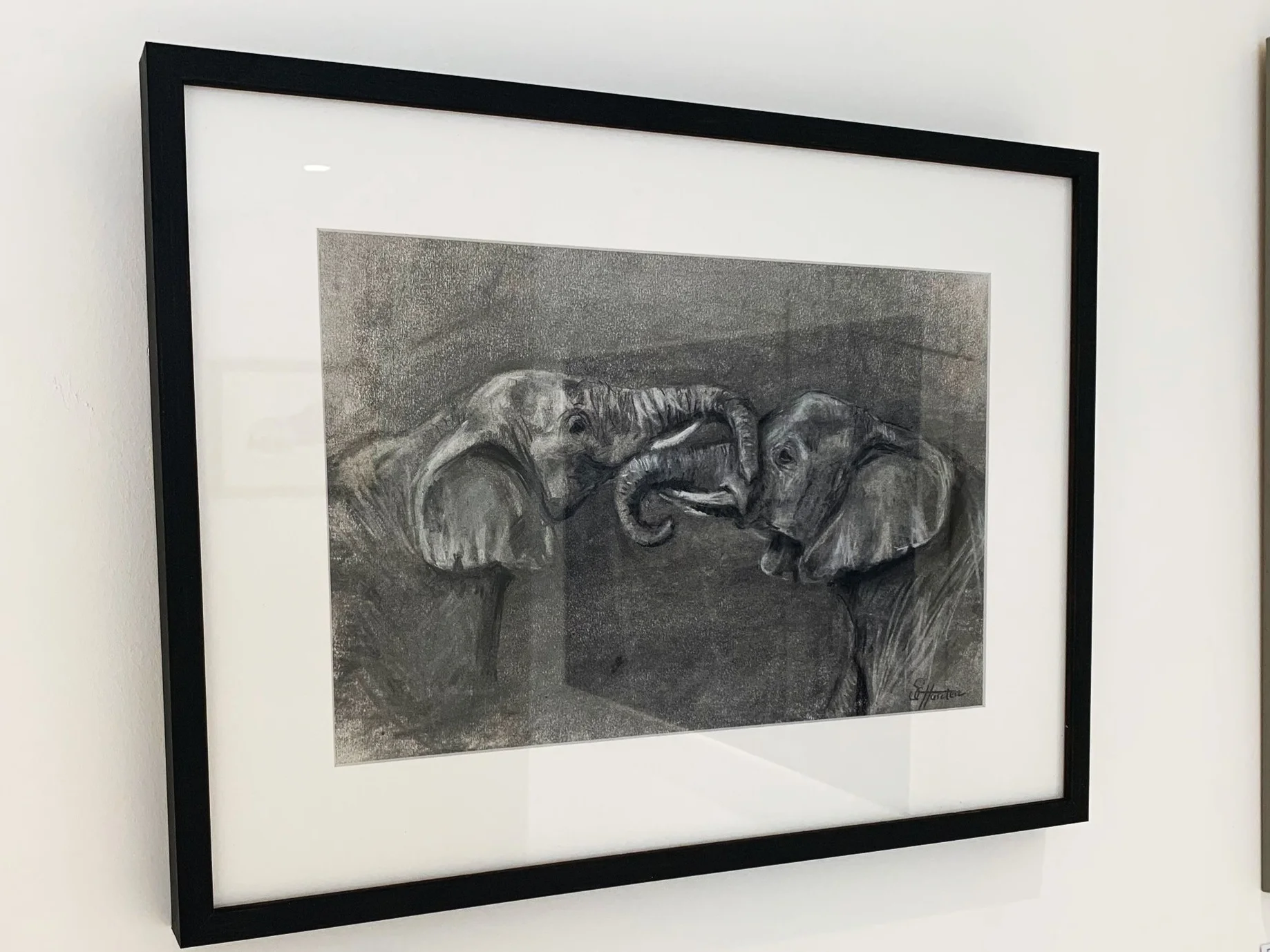 image1.jpg