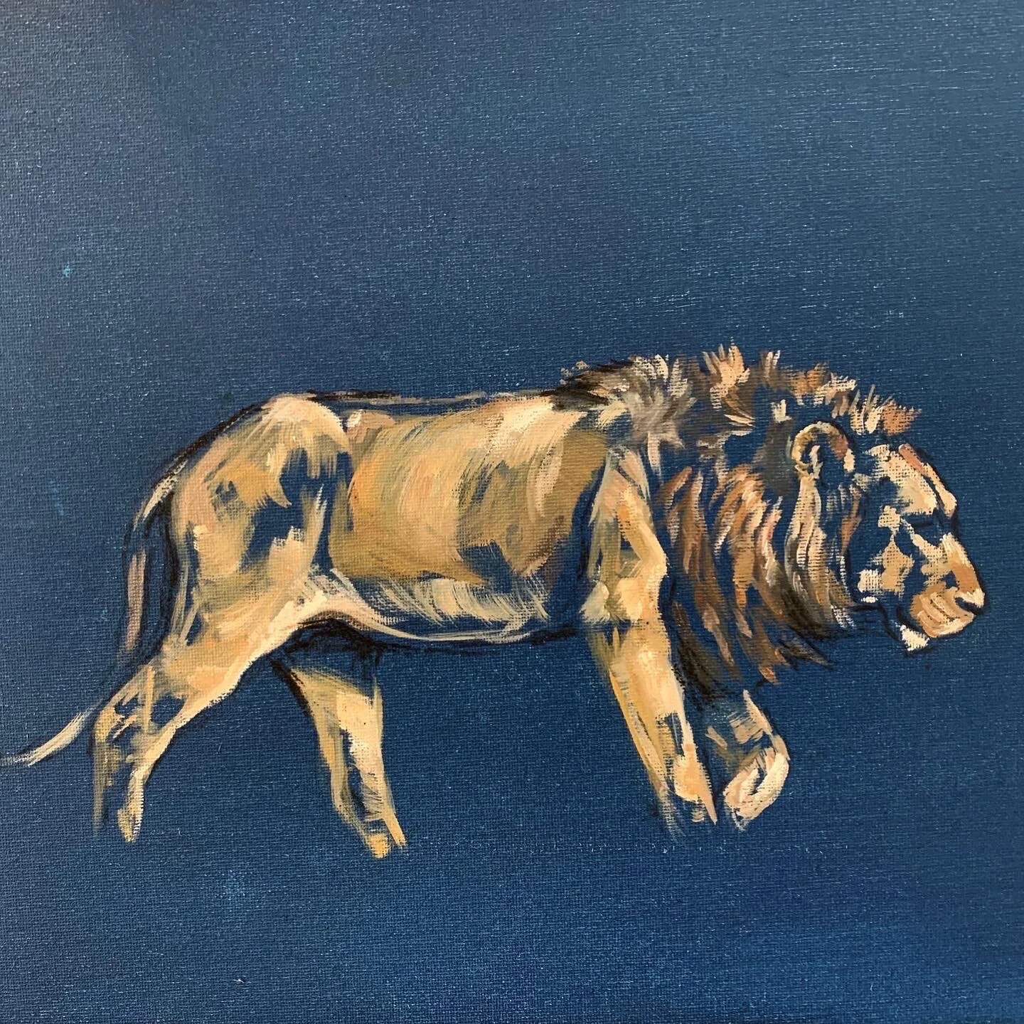 Lion.jpg