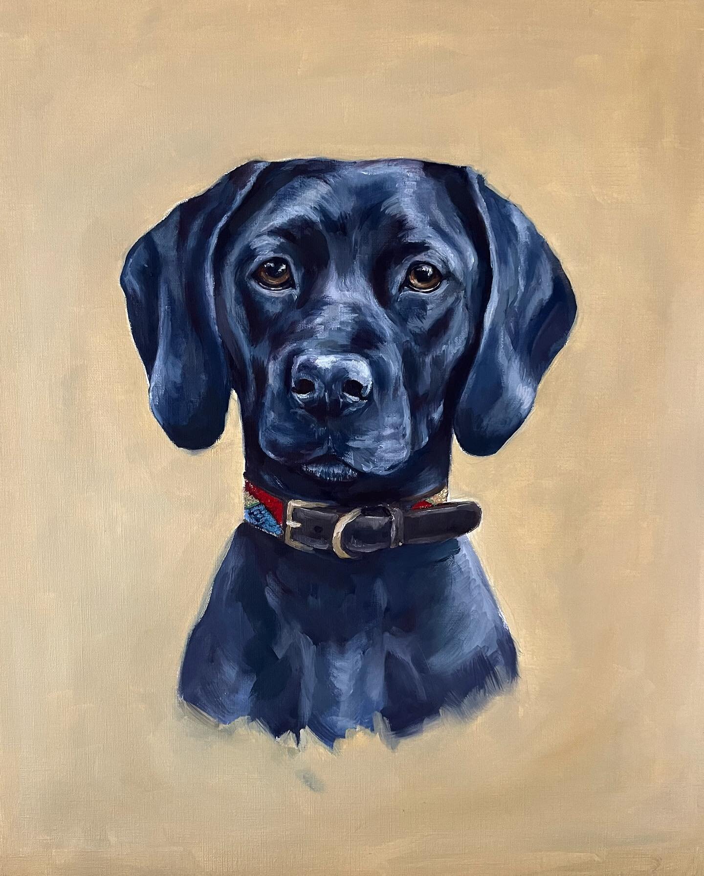It is always so hard when you loose a best friend, I felt very honoured to be able to capture this lovely dog so she can live on in her owner&rsquo;s memory 🥰#portrait #oilpainting #commission #memories #capturethemoment #sophiehardenart