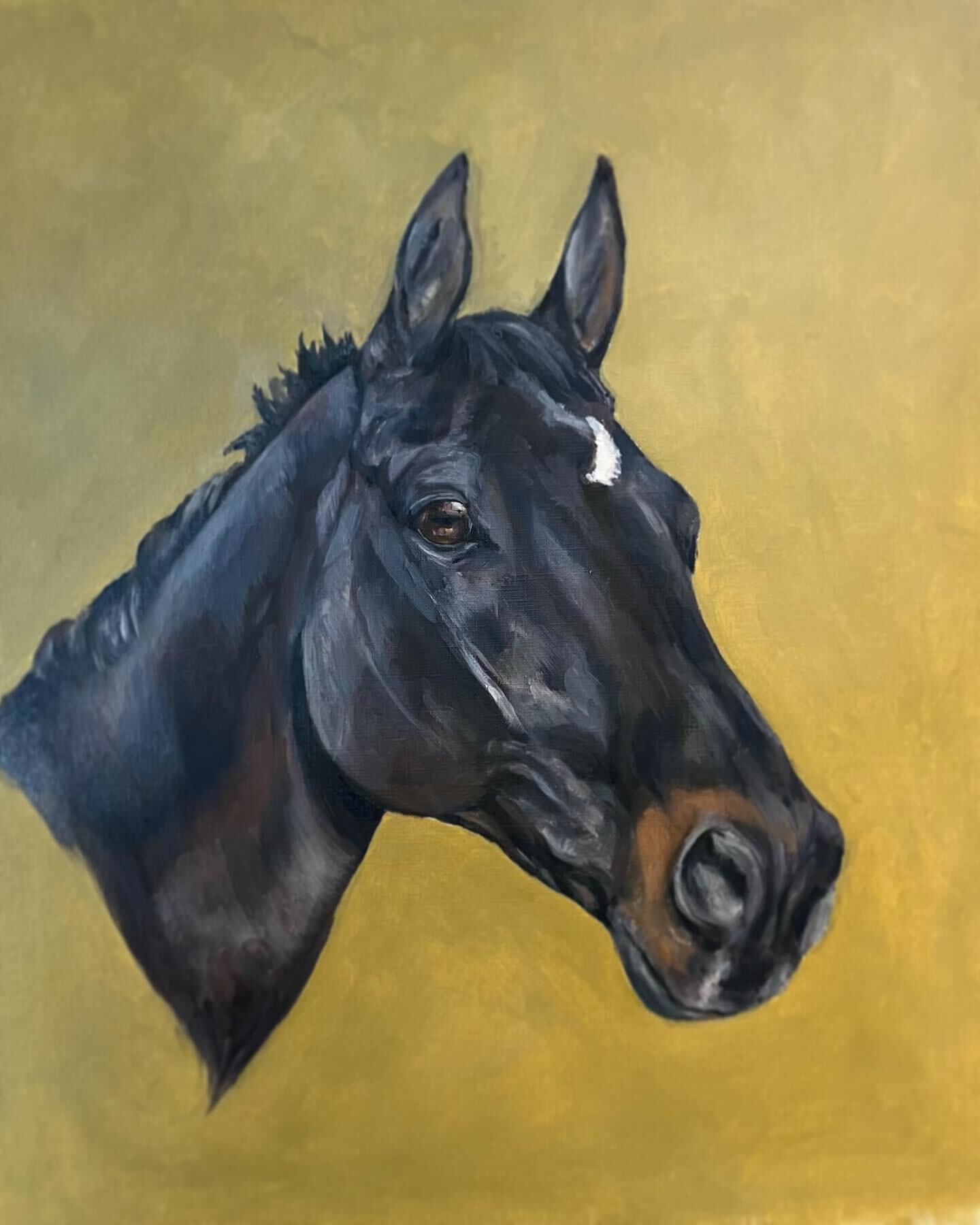Tommy &ldquo;Big Tom&rdquo; legend of legend of horses. Many a fun filled day on this boy, so lovely to paint a face I know so well. #horseportrait #christmaspresent #hunter #horsesofinstagram #sportshorse #oilpainting #oilportrait #sophiehardenart