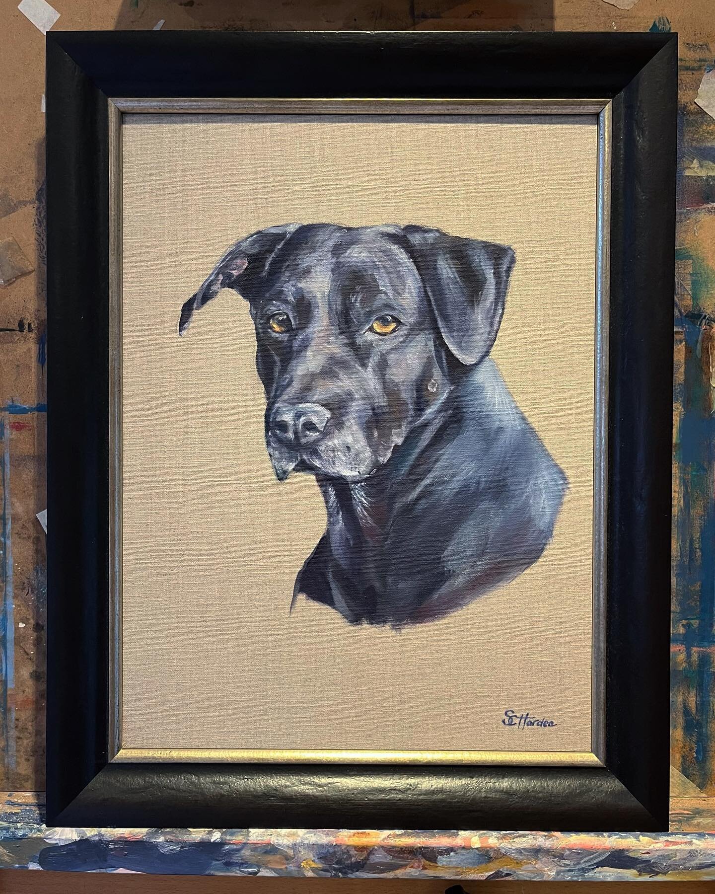 Her ladyship Pesto in all her grandeur #portrait #christmaspresent #oilonboard #artistsoninstagram #dogportrait #personlisedgifts #artforsale #bespoke #interiordesign #sophiehardenart