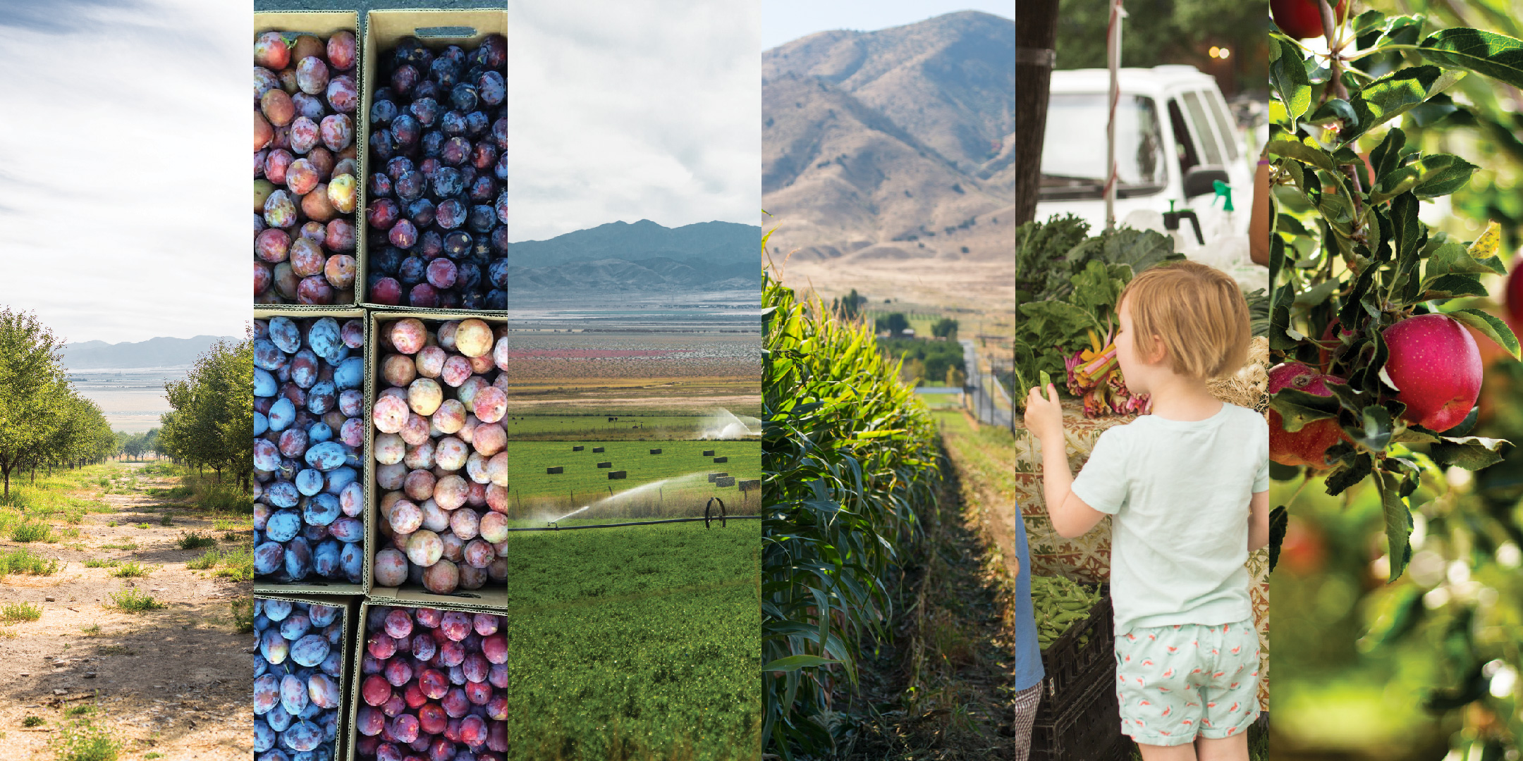 Utah Agriculture Toolbox