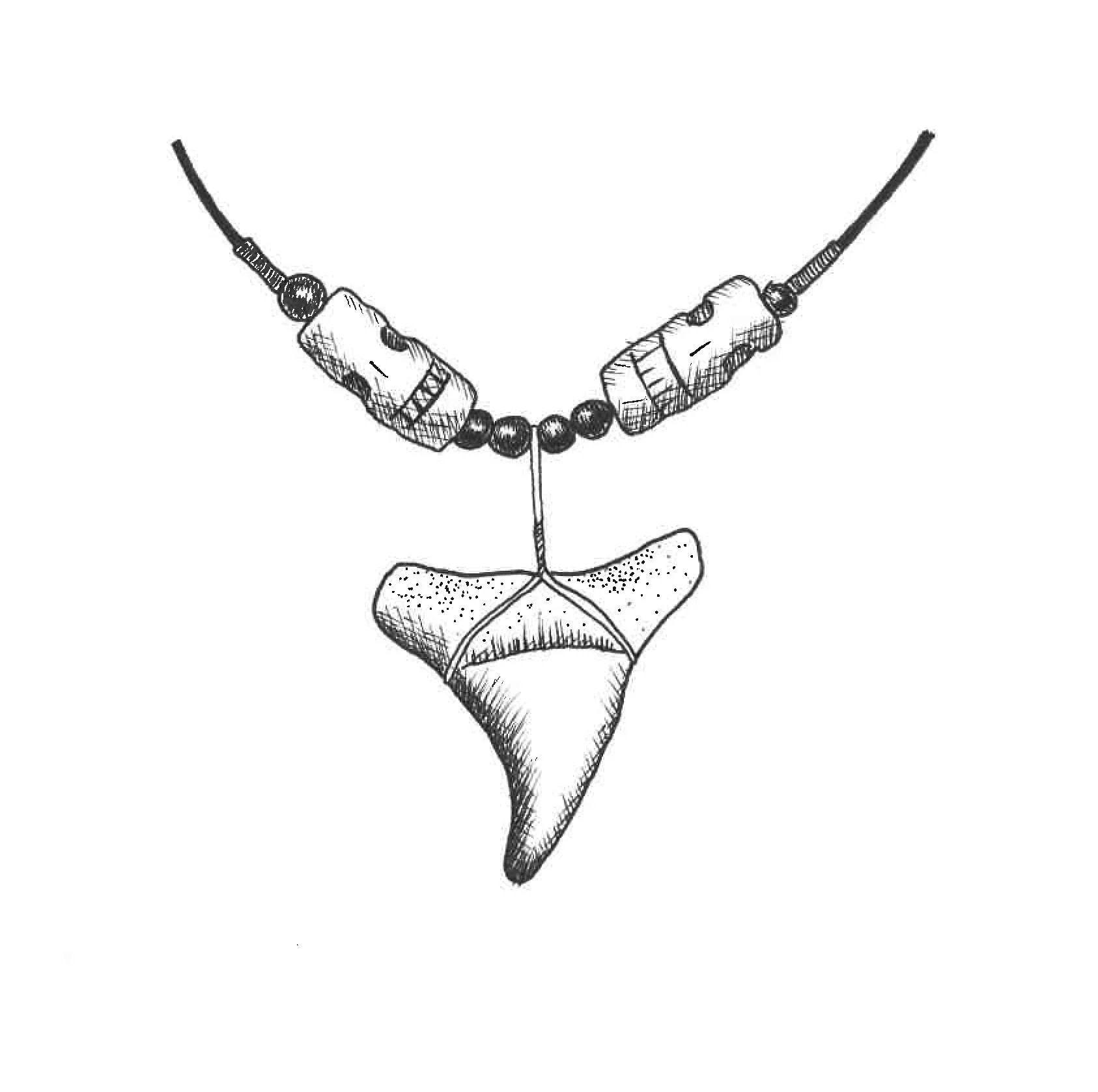 shark.jpg