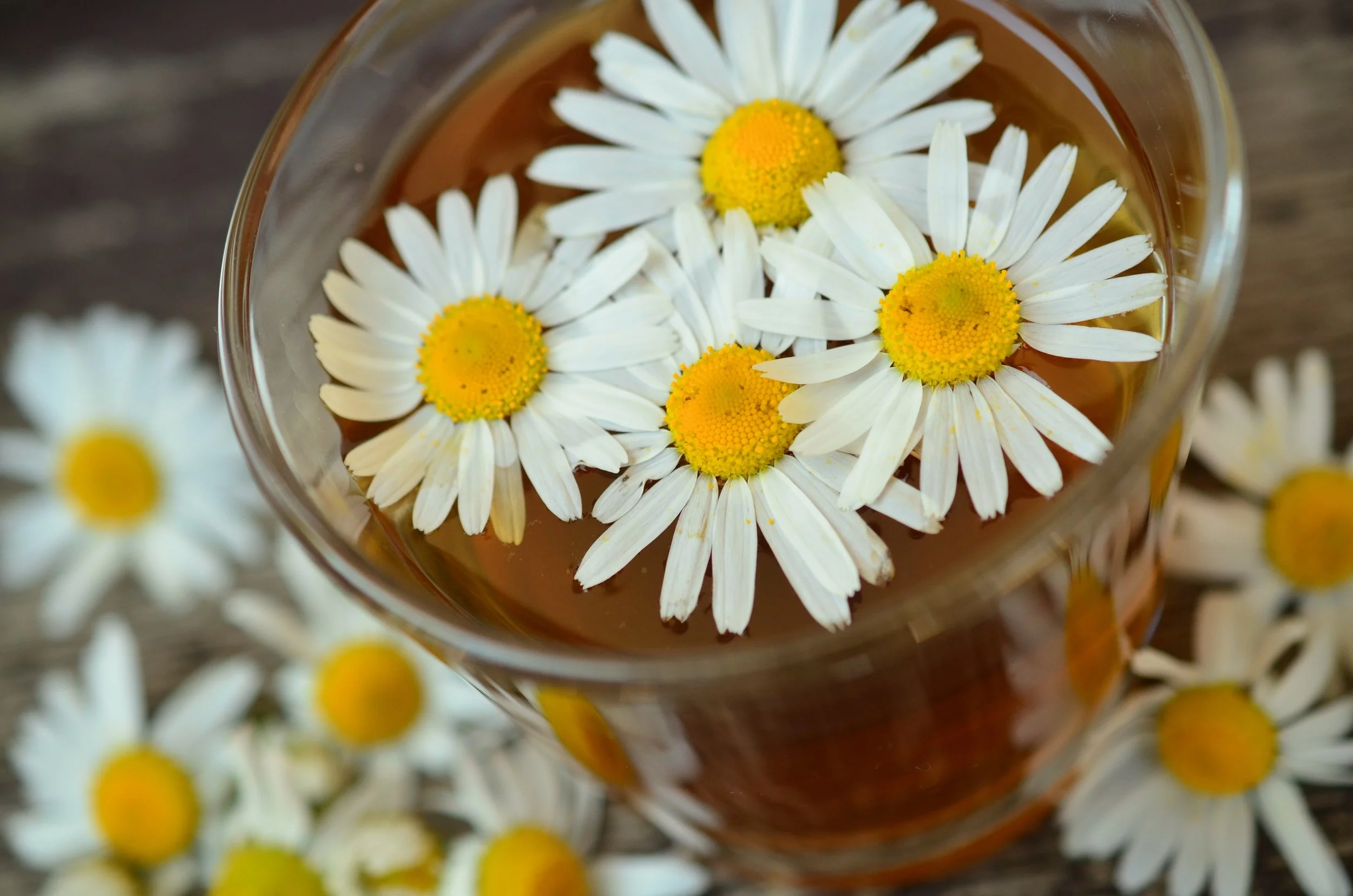 Household Healers: Chamomile Tea