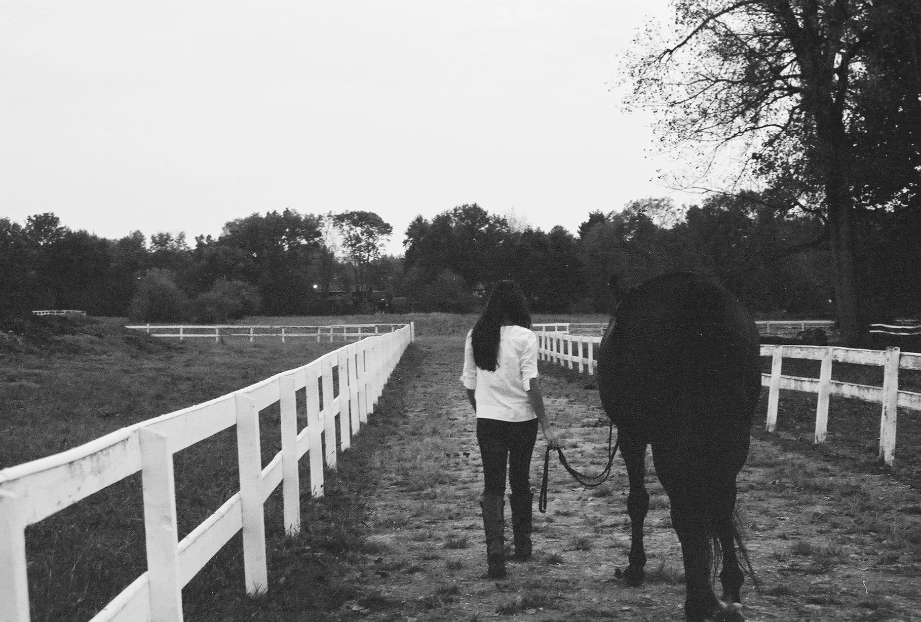 Julie's daughter, Madeline Bova, walking her horse Cameroon at the barn.