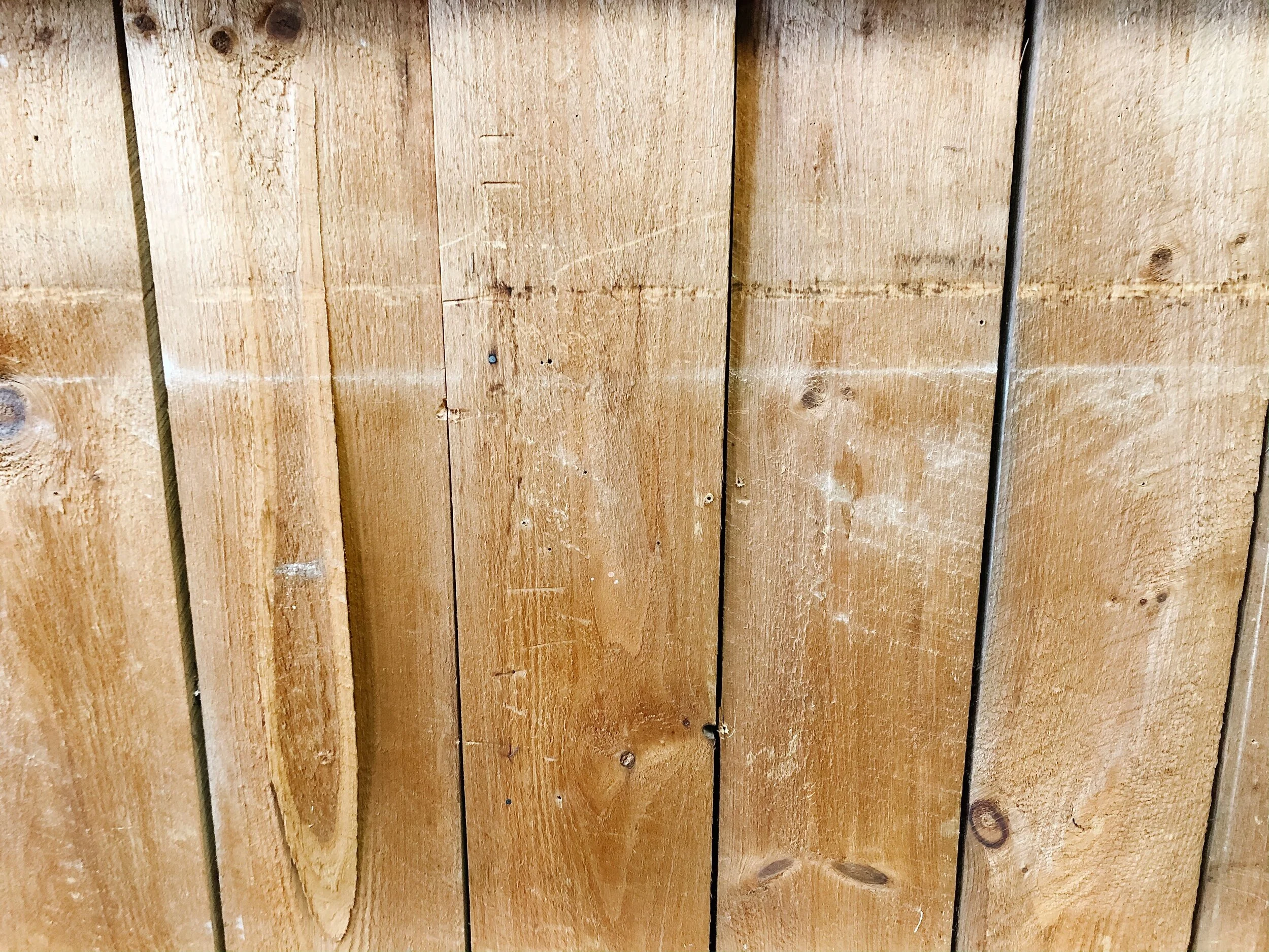 Image from iOS (125).jpg