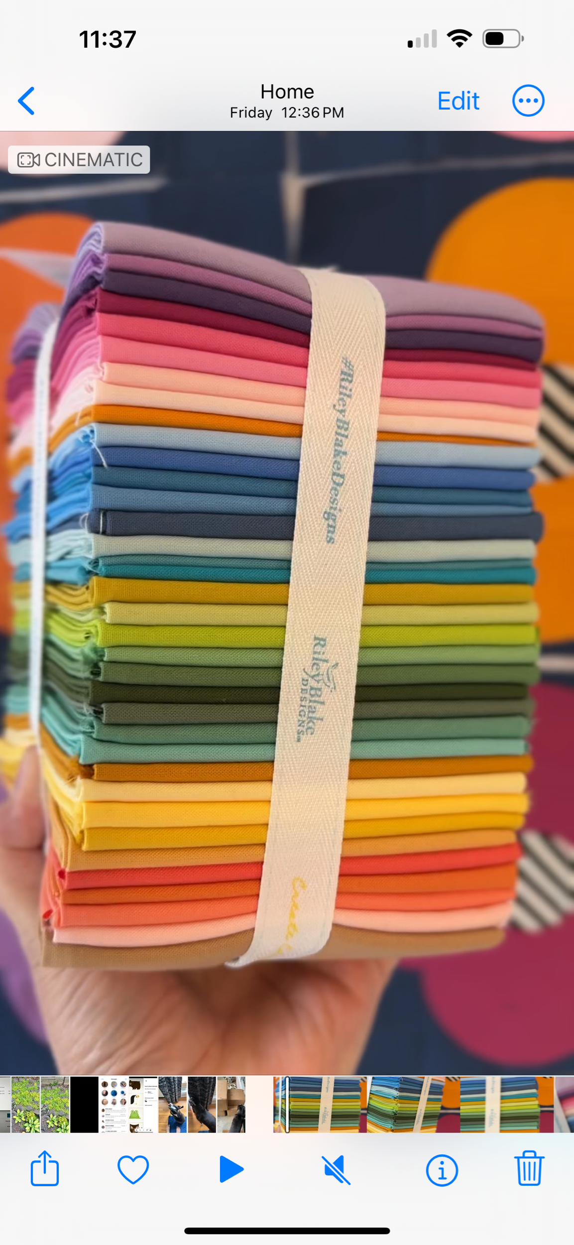 I Can Fly fat quarter bundle