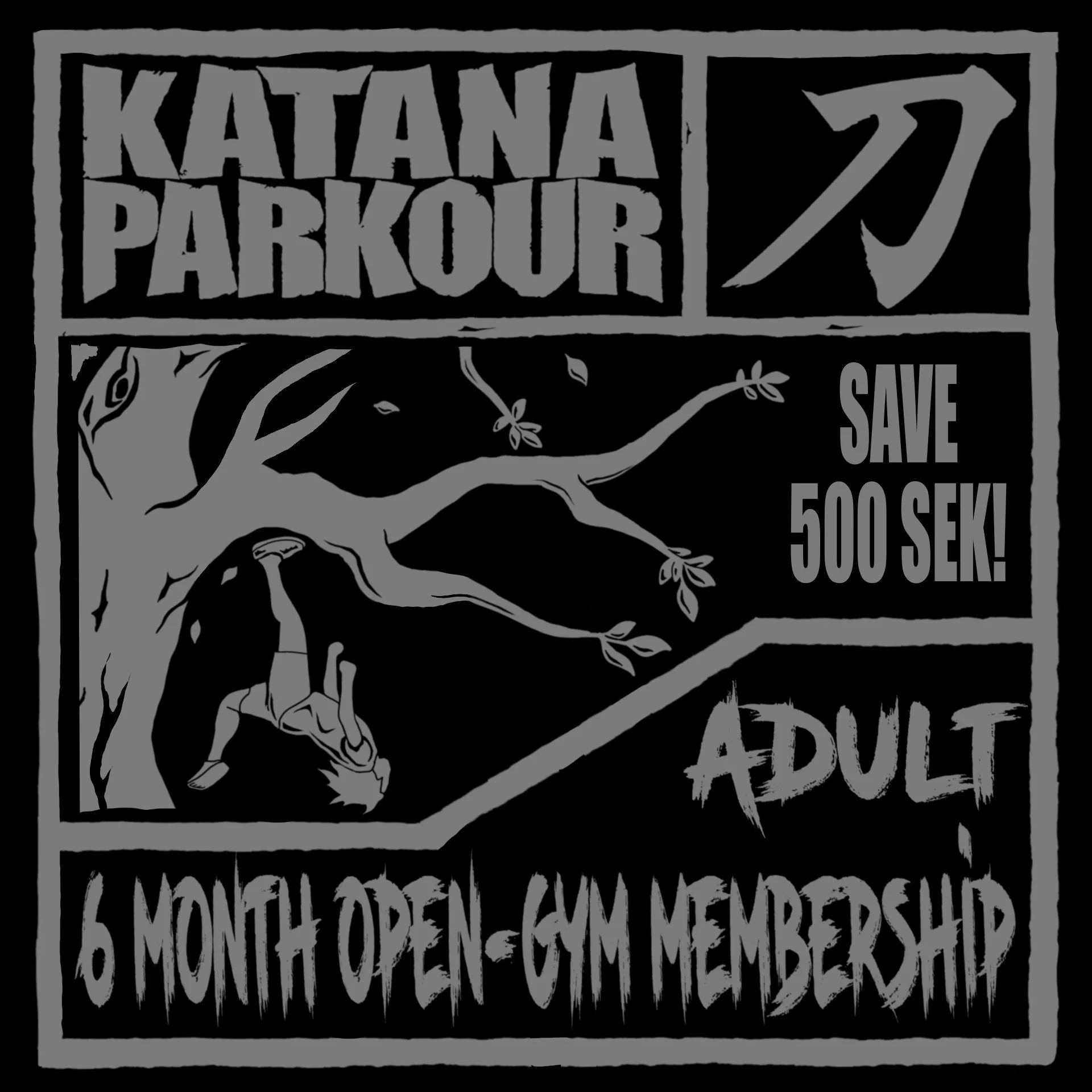 Adult 6 Month Open Gym Membership
