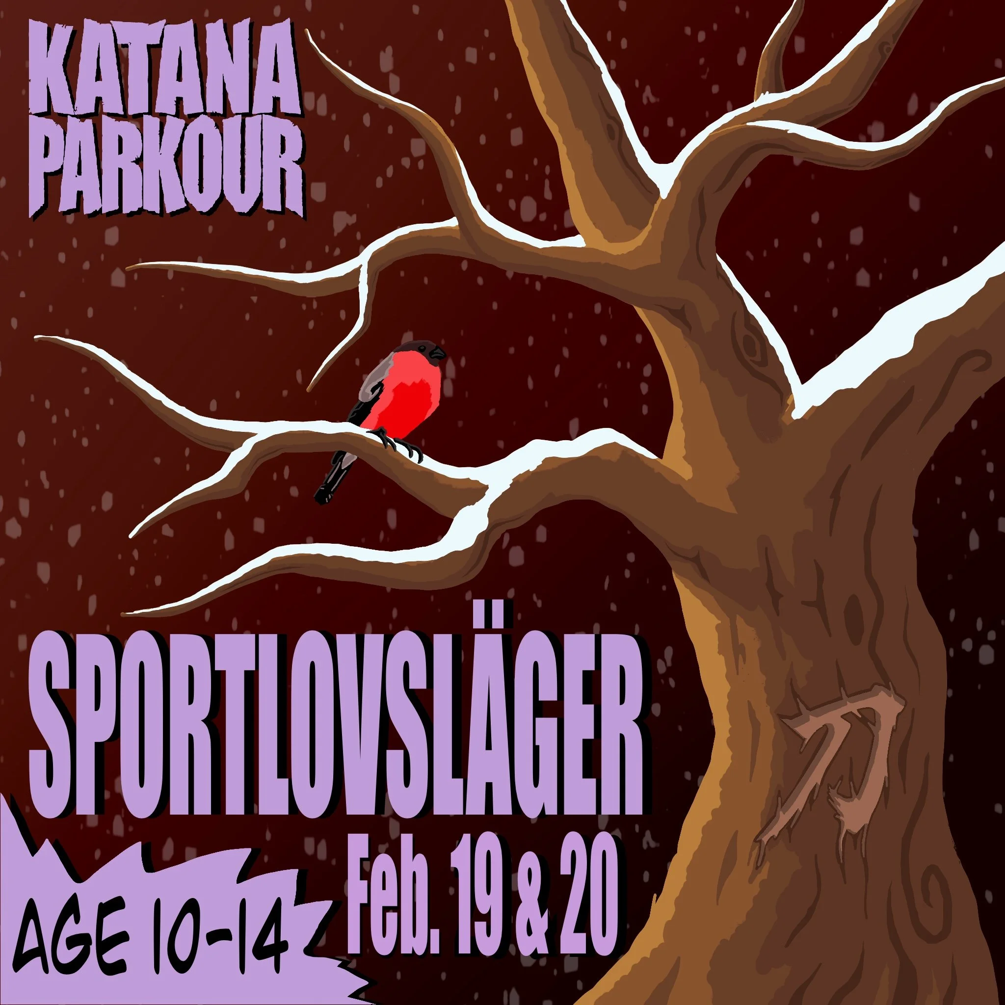 Sportlovsläger 2026 for ages 10-14,  February 19 & 20