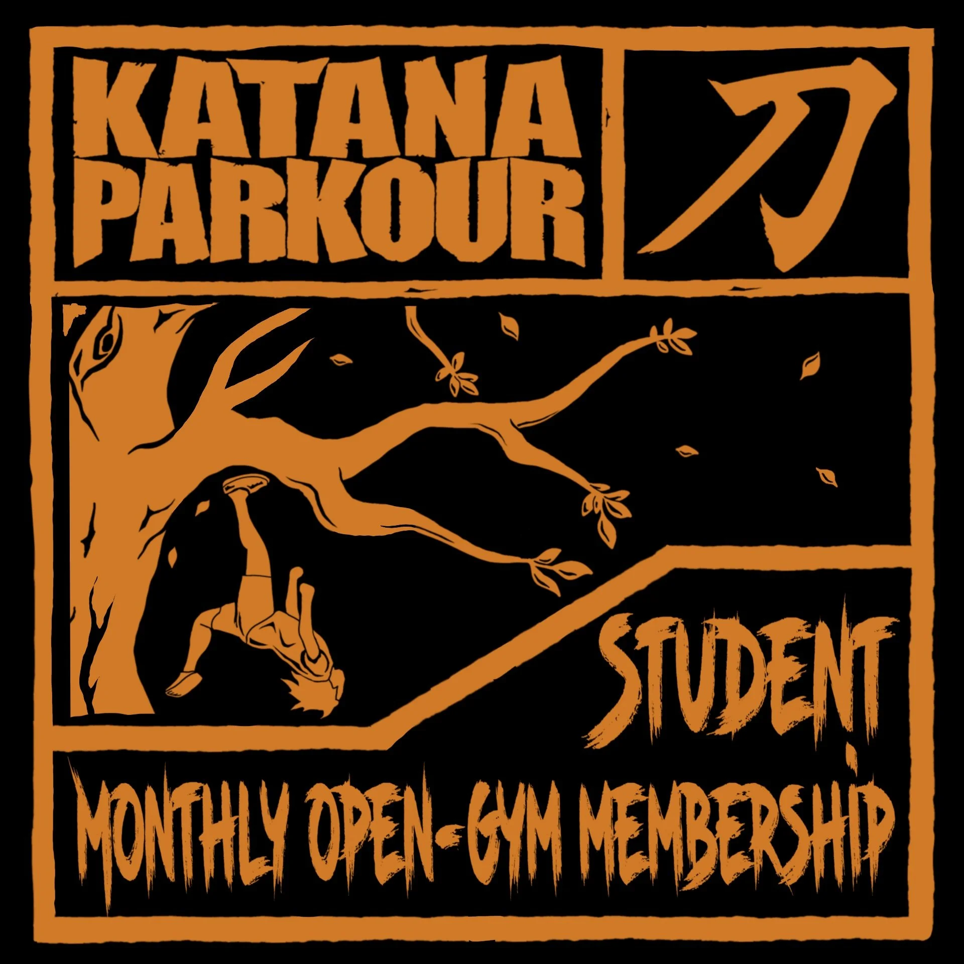 Student Monthly Open Gym Membership