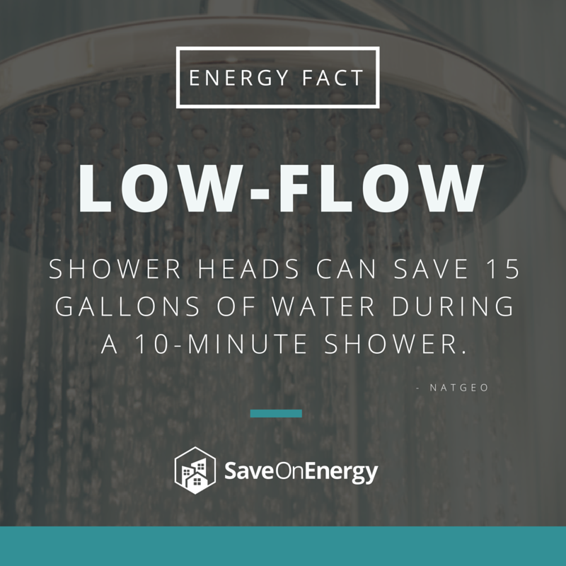 Energy Fact - Showerhead.png