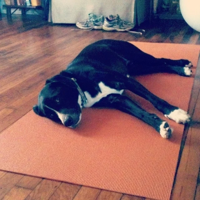 30 Days of Shavasana 