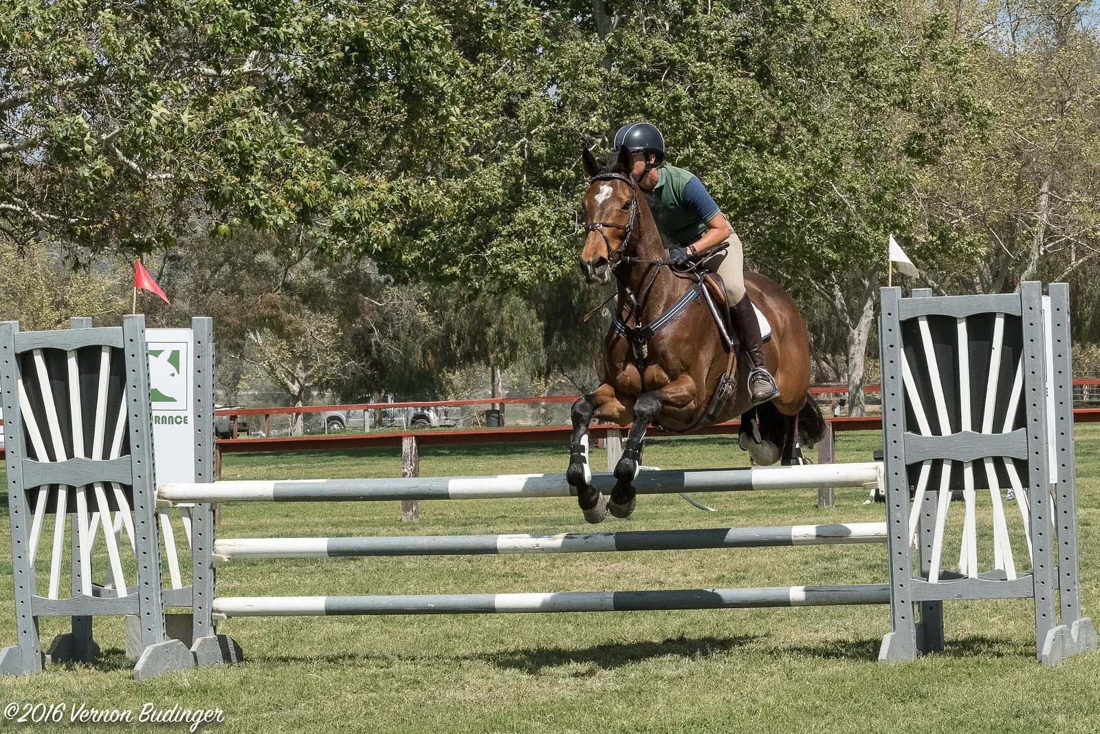 Temecula Jumpers 2nd Day-2-51.jpg