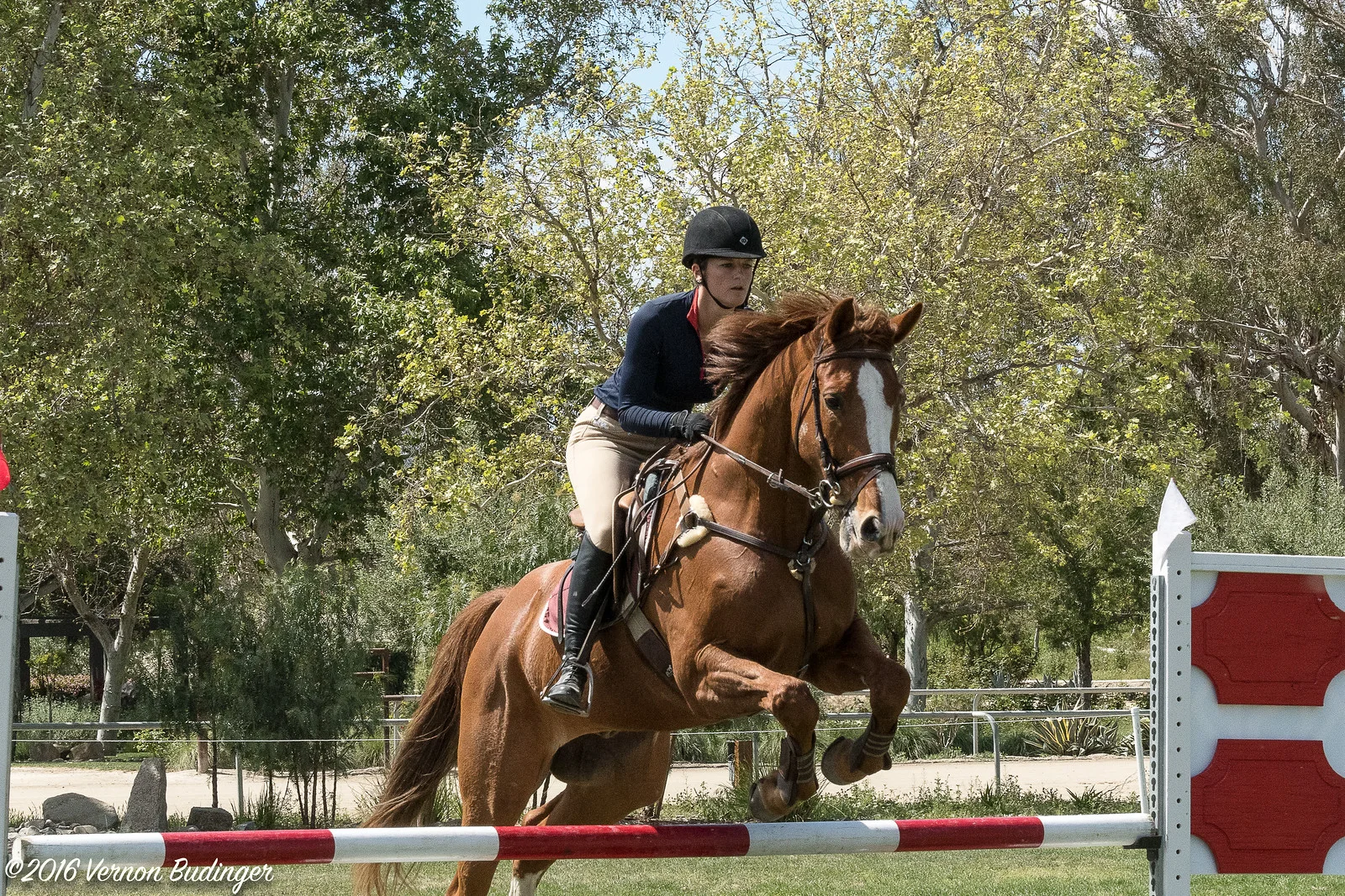 Temecula Jumpers 2nd Day-2-49.jpg