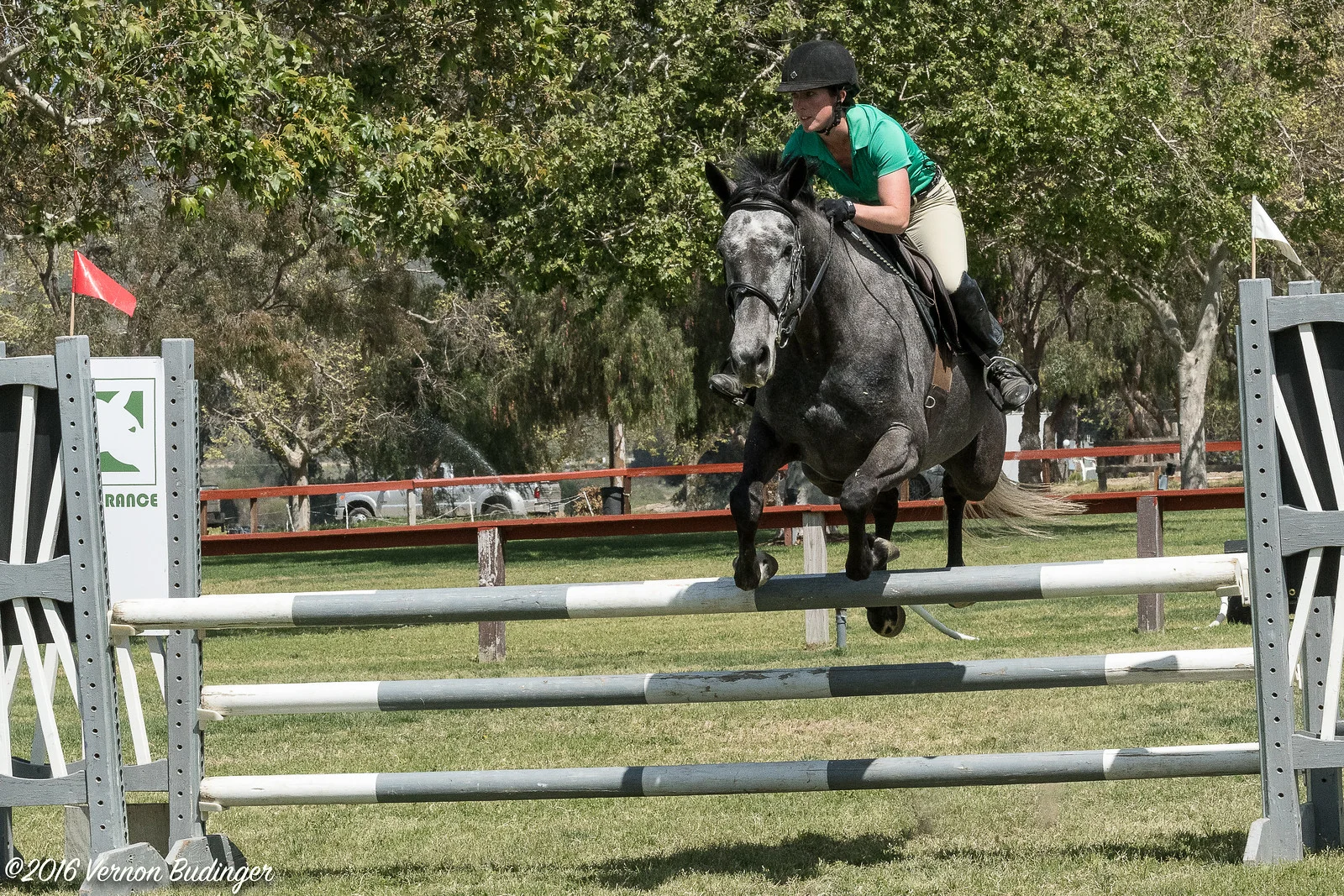 Temecula Jumpers 2nd Day-2-46.jpg