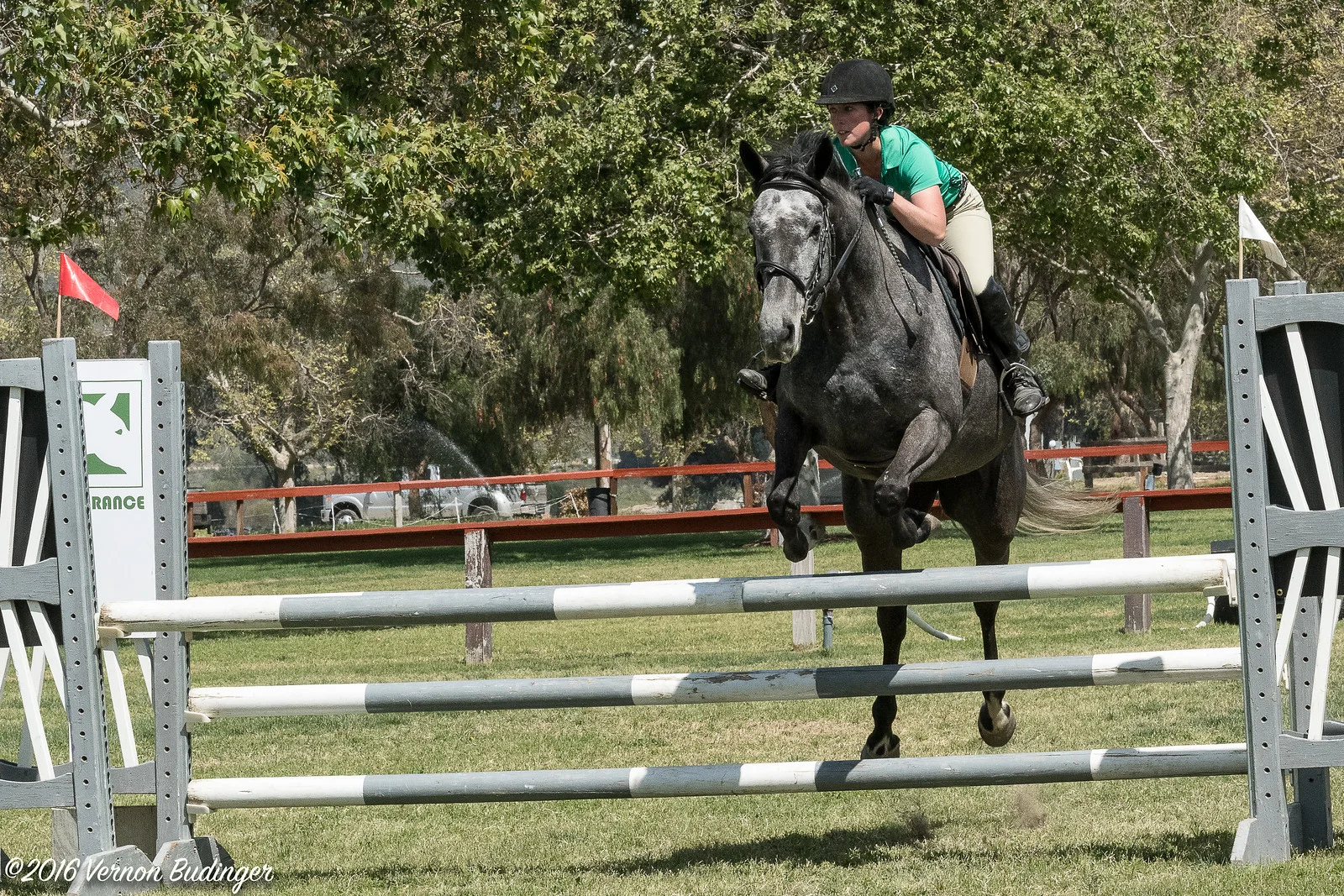 Temecula Jumpers 2nd Day-2-45.jpg