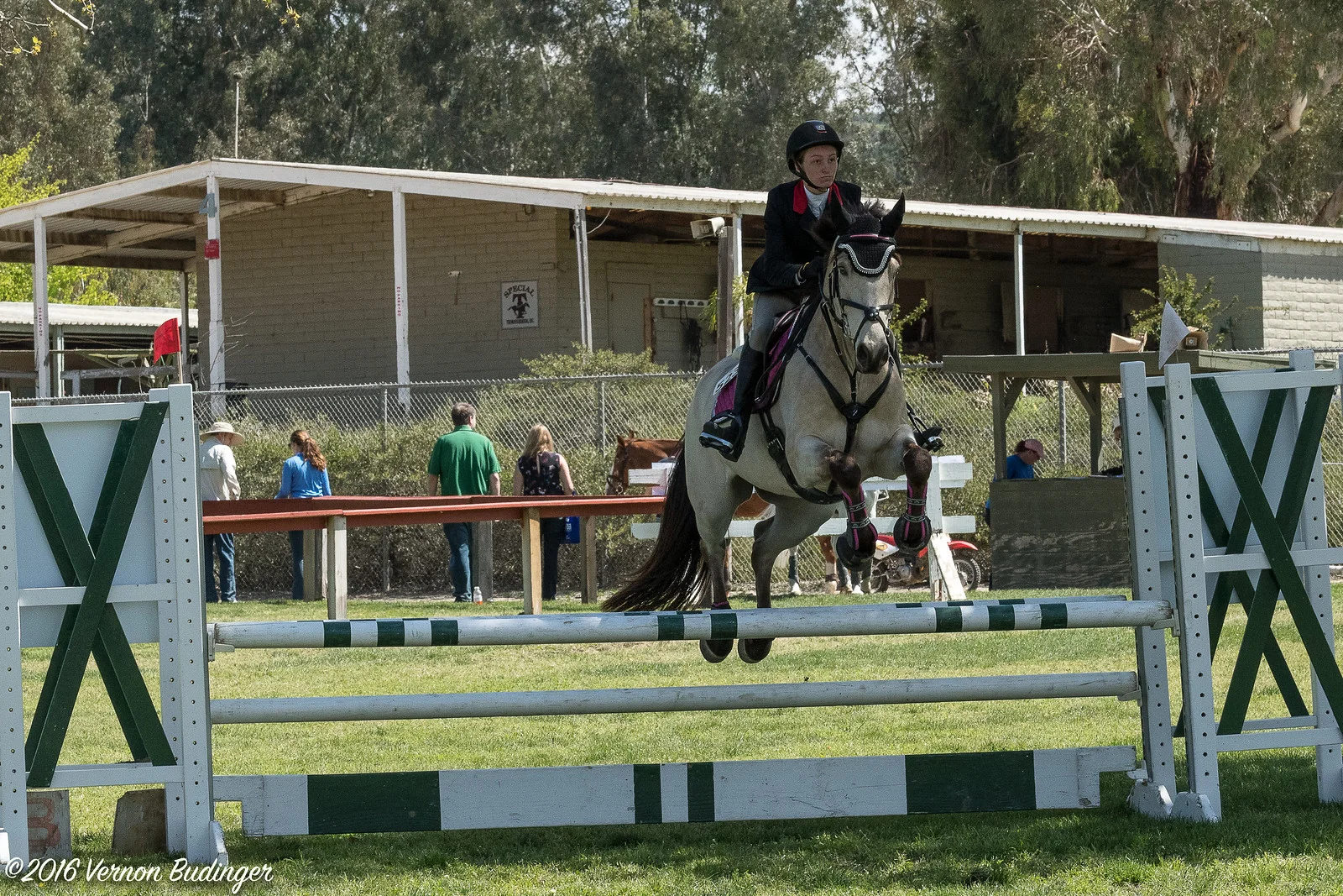 Temecula Jumpers 2nd Day-2-38.jpg