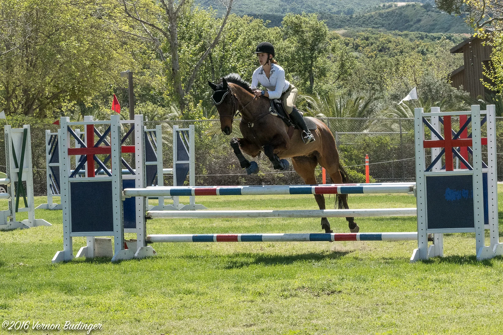 Temecula Jumpers 2nd Day-2-35.jpg