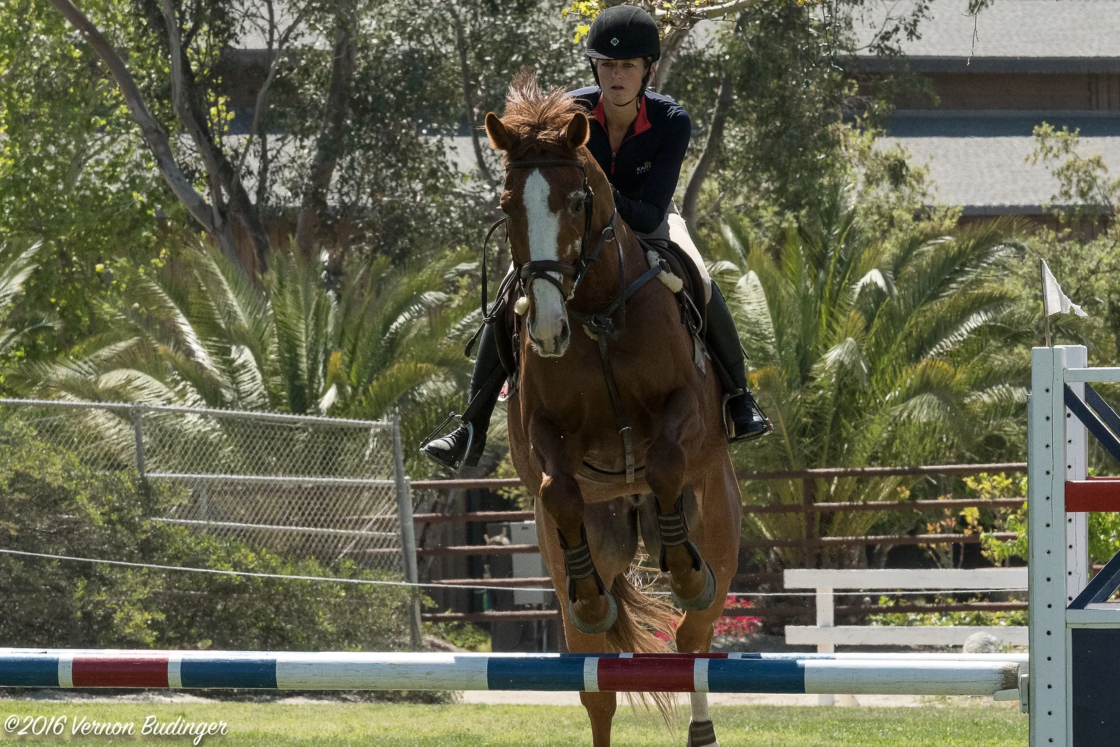 Temecula Jumpers 2nd Day-2-31.jpg