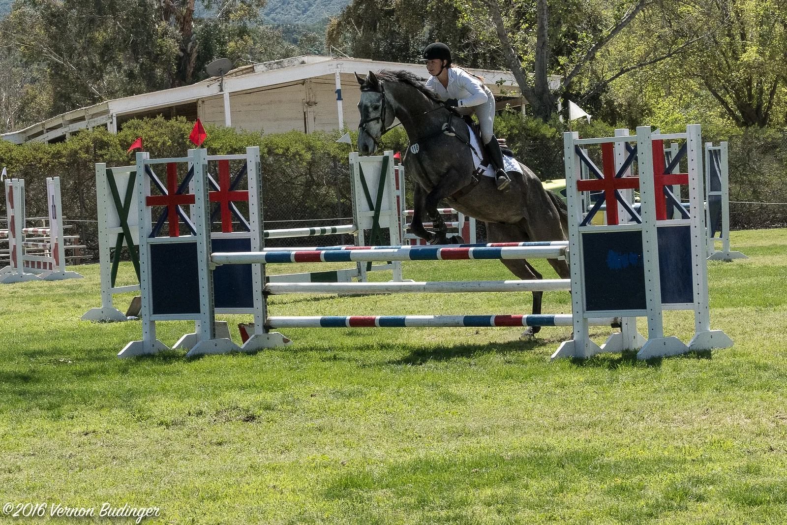 Temecula Jumpers 2nd Day-2-28.jpg