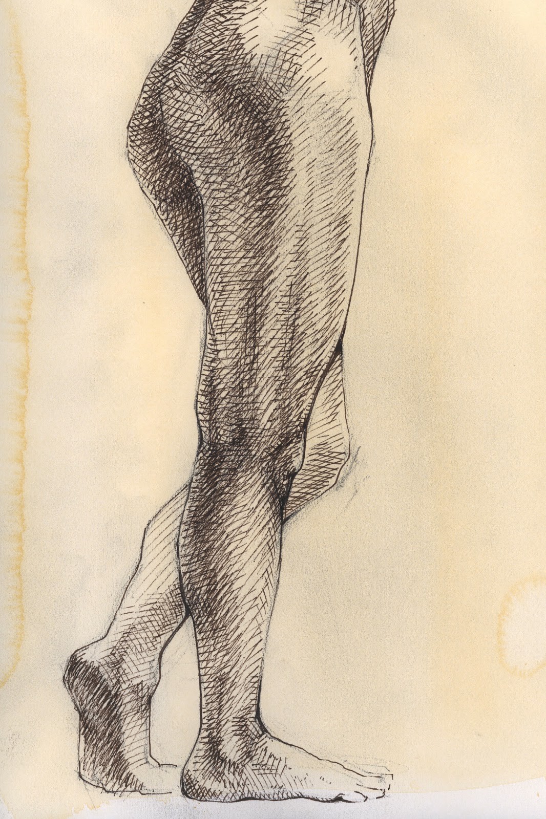 Marie-pen and ink study-legs.jpg
