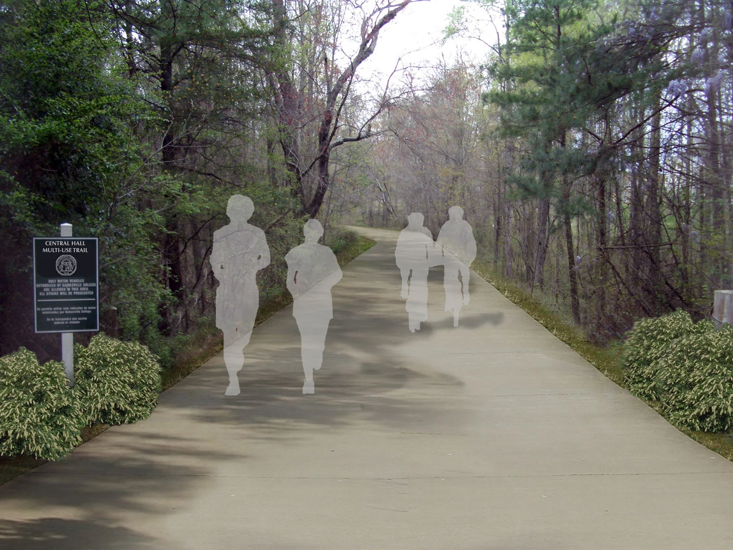 hall county multi-use trail plan