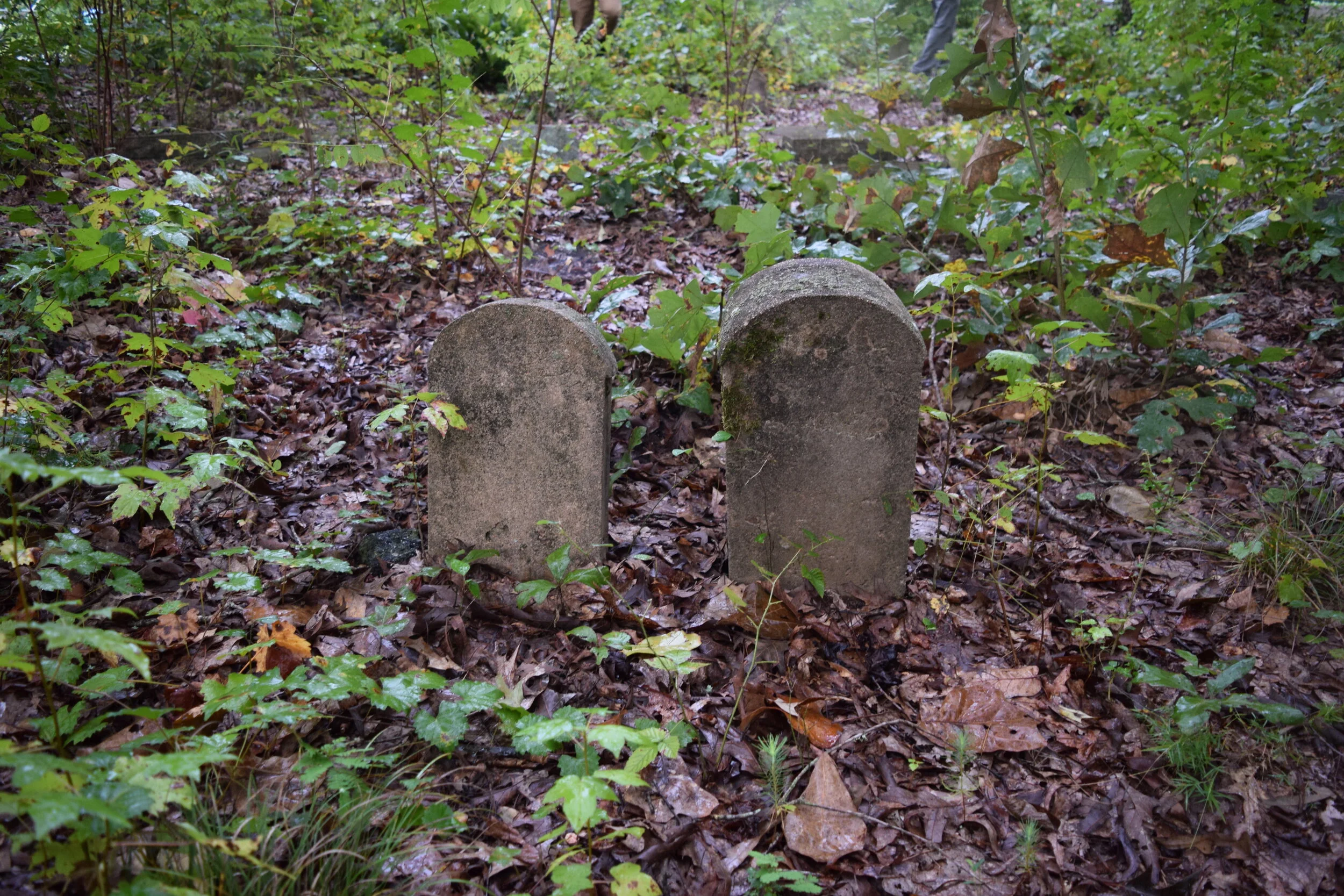 DSC_0018.JPG