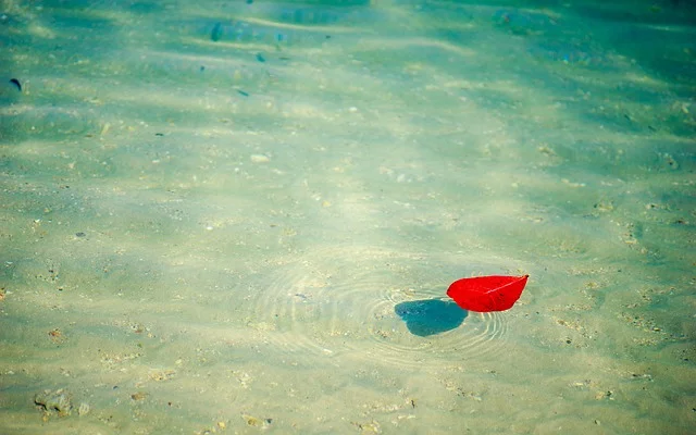 beach-1530881_640.jpg