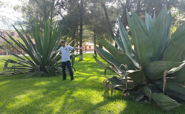 Brian Rossi of Adelitas Talks Tequila, Mezcal, Palenque...And Ice Cream!