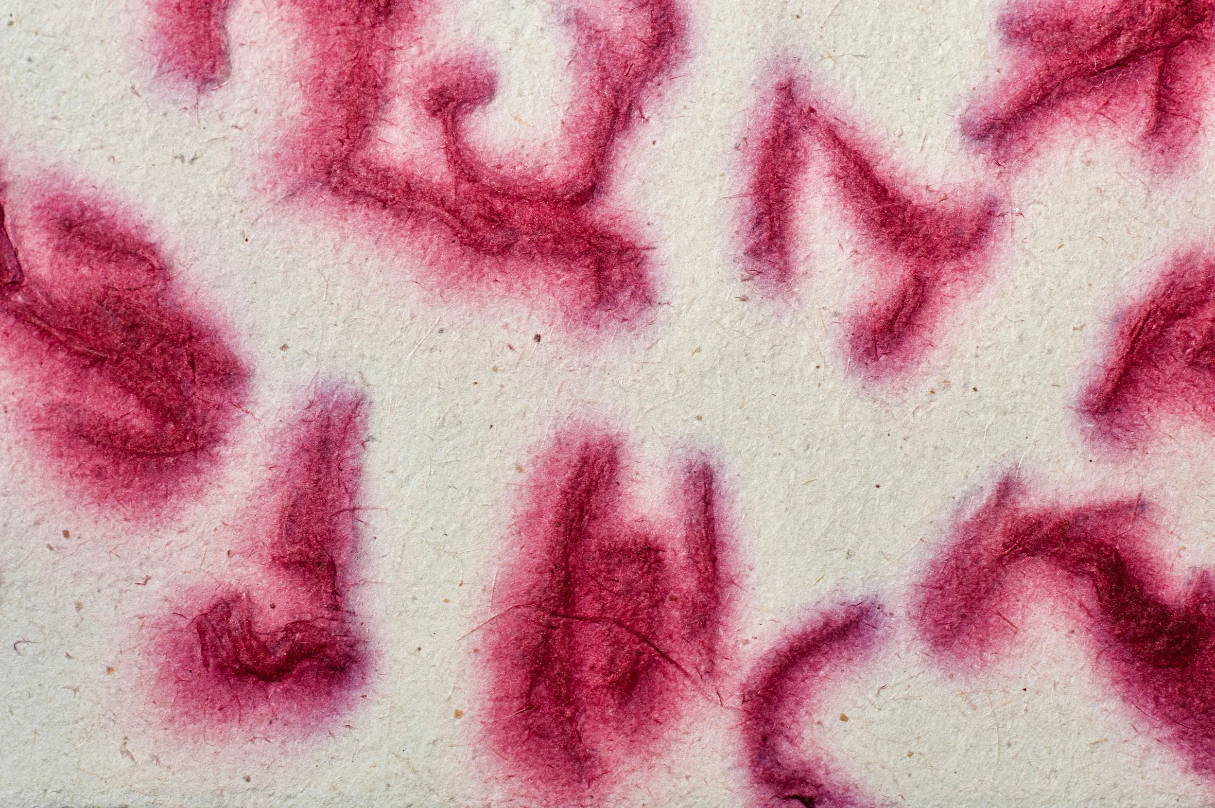 Ixtle (agave fiber) with jamaica (hibiscus) petals