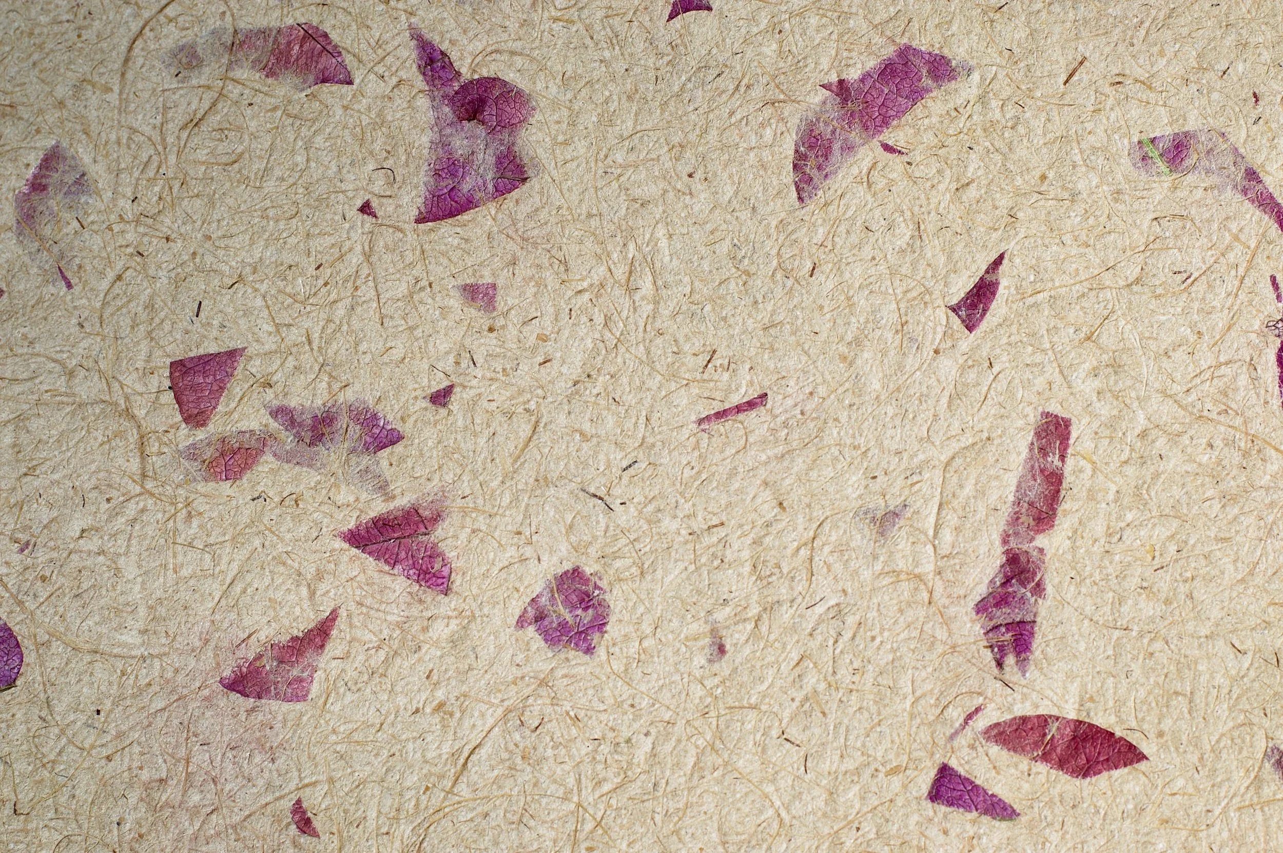 Totomoxtle (corn husk) with bouganvilia petals