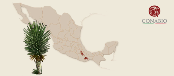 *Map taken from CONABIO website
