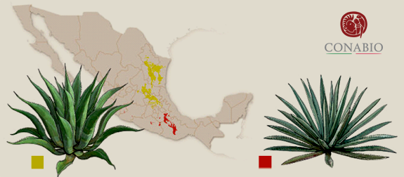 Americana Map.png