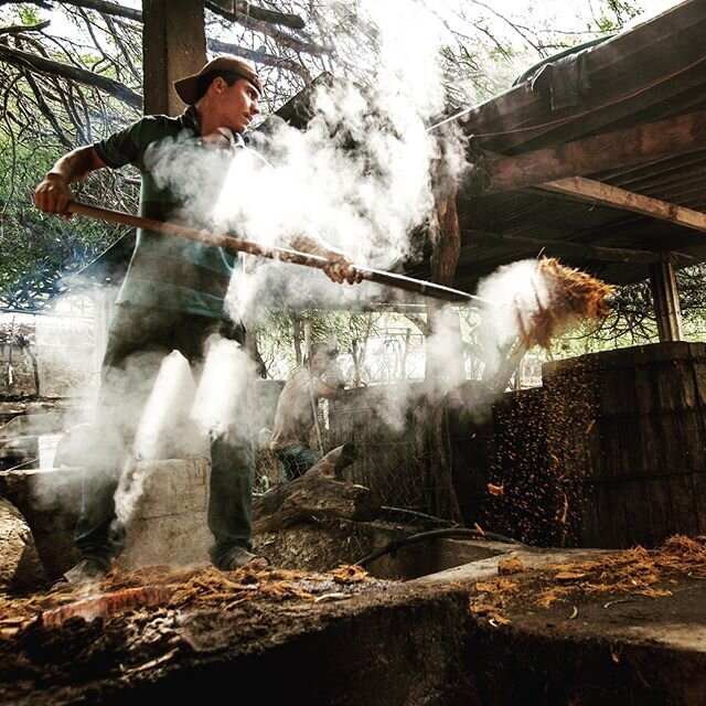 The future is strong with Mezcal Vago. Aquilino&rsquo;s son Mateo García has made more mezcal in the last 8 years than Aquilino made in his first 50. Aquilino made mezcal from a very young age but only a batch or two a year for the family and commun